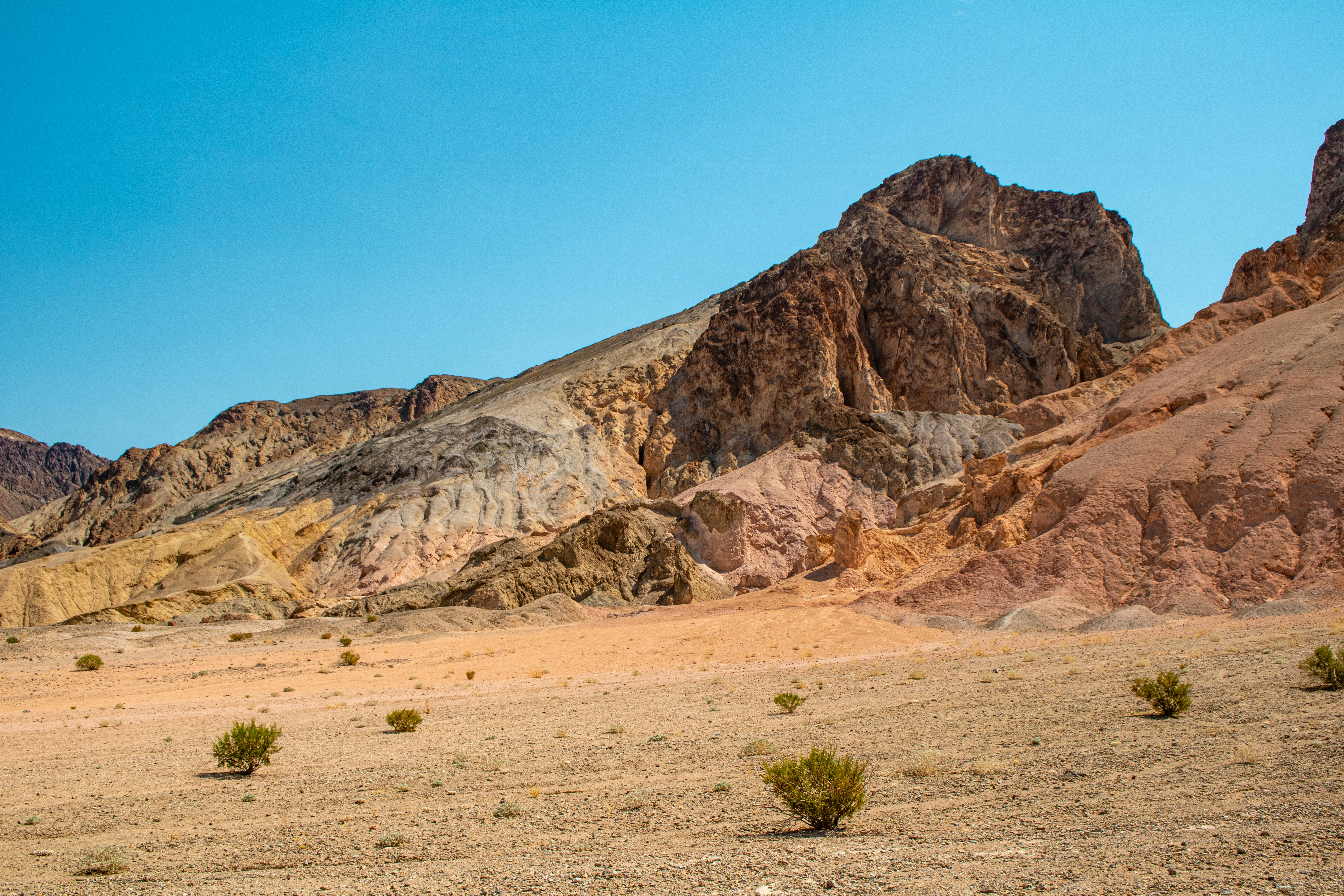 Photo by zoshuacolah