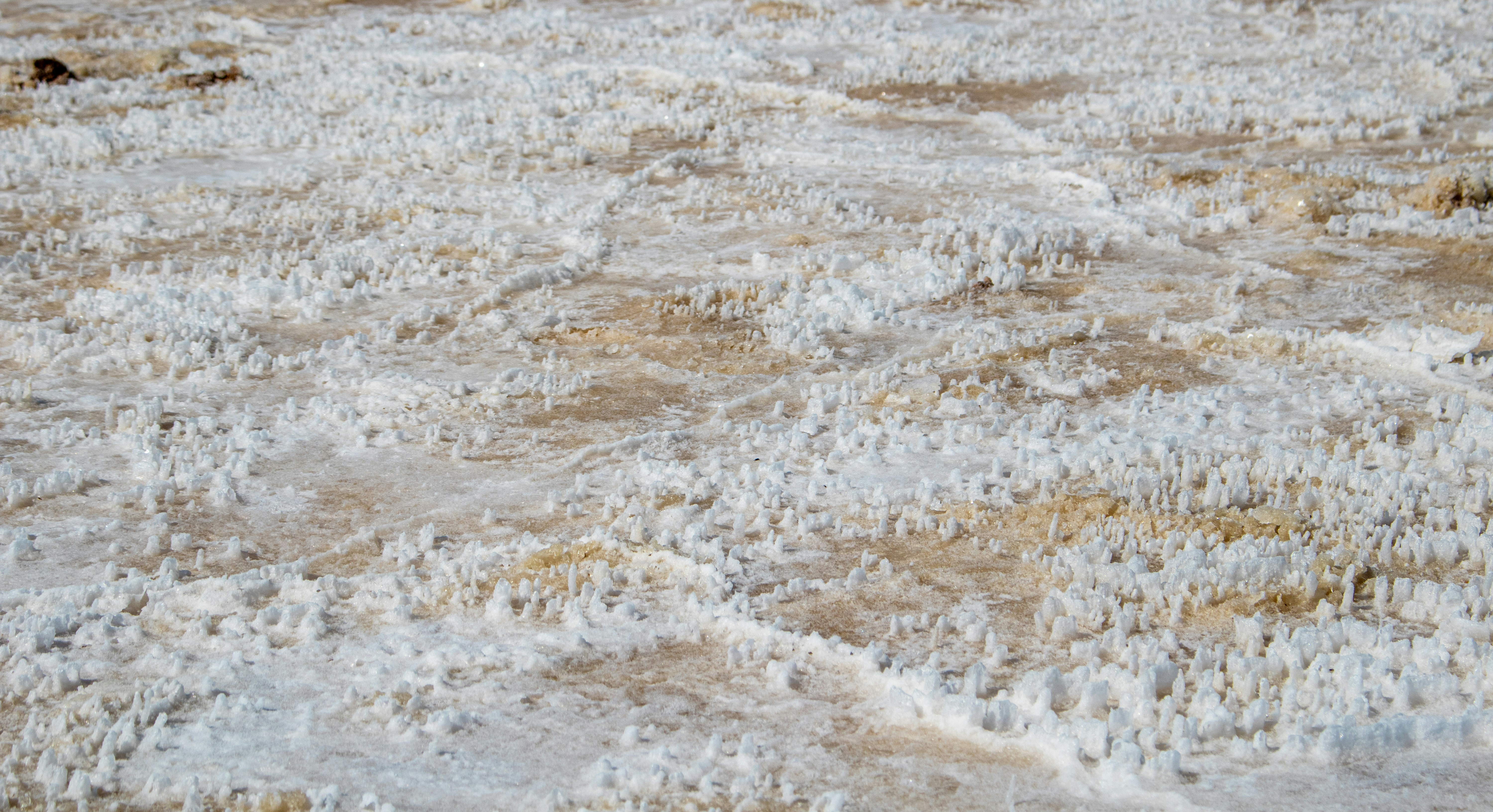 Photo by zoshuacolah