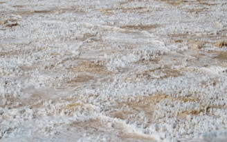 Death Valley, CA - the salt flats in Badwater Basin