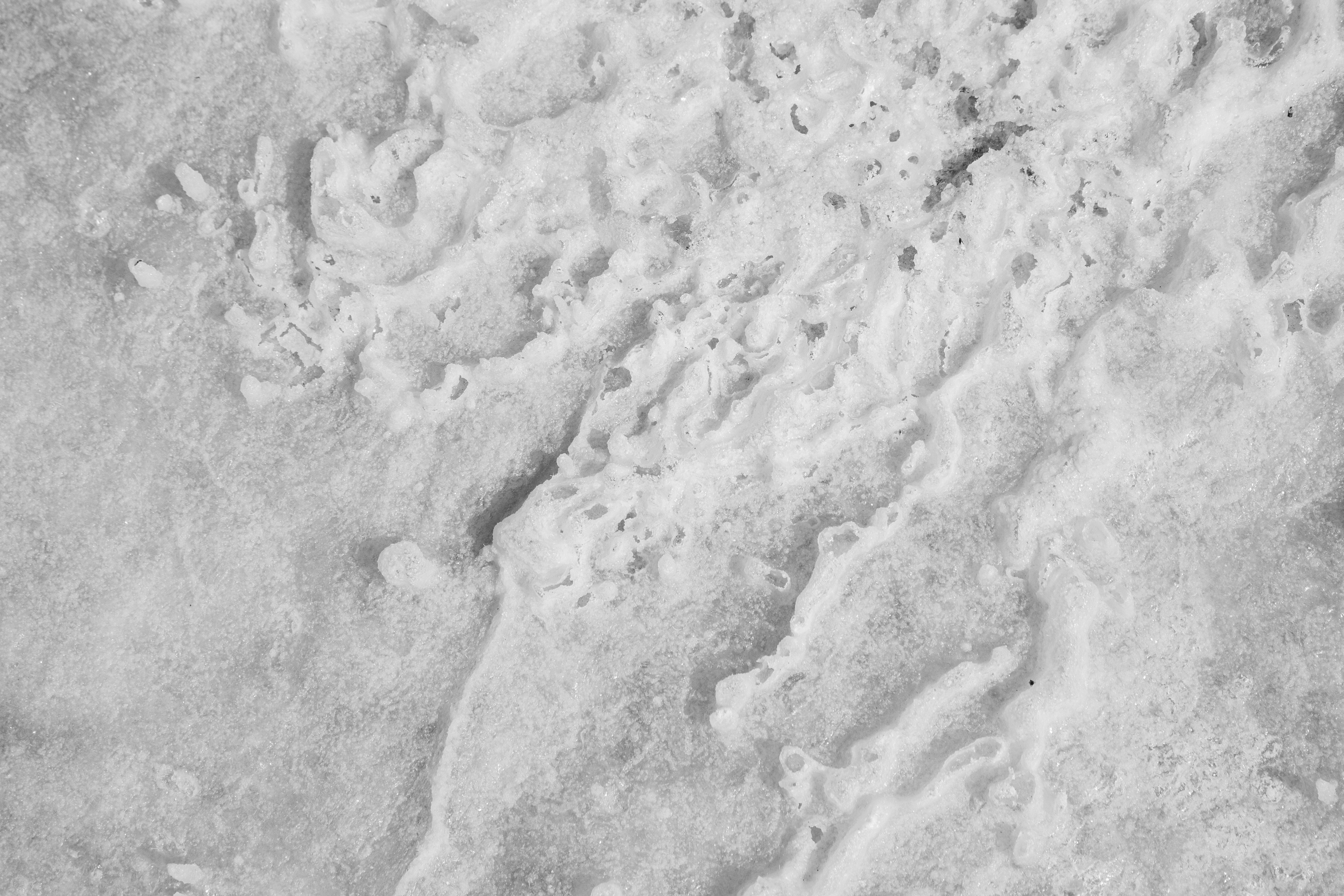 Photo by zoshuacolah