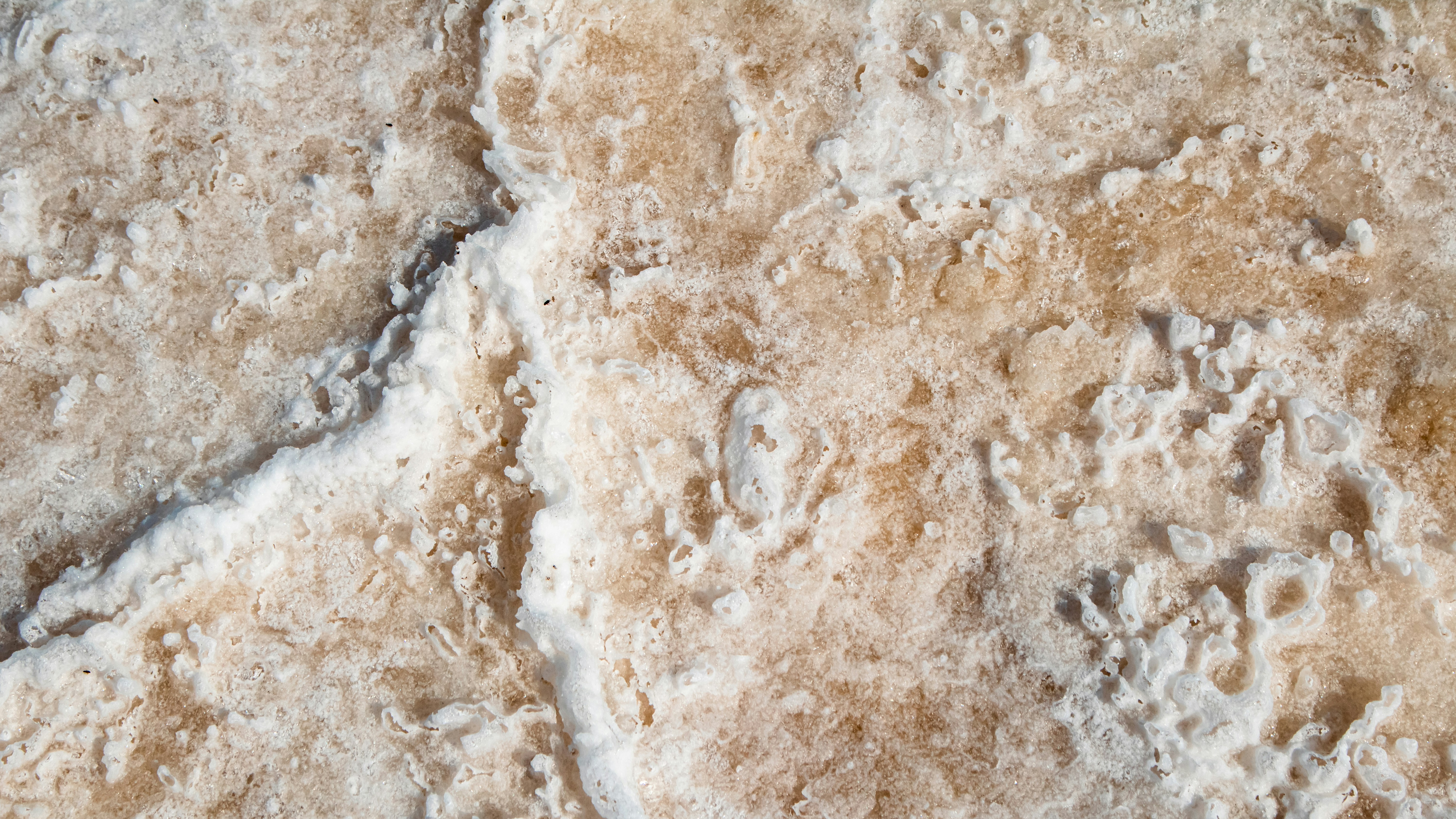 Photo by zoshuacolah