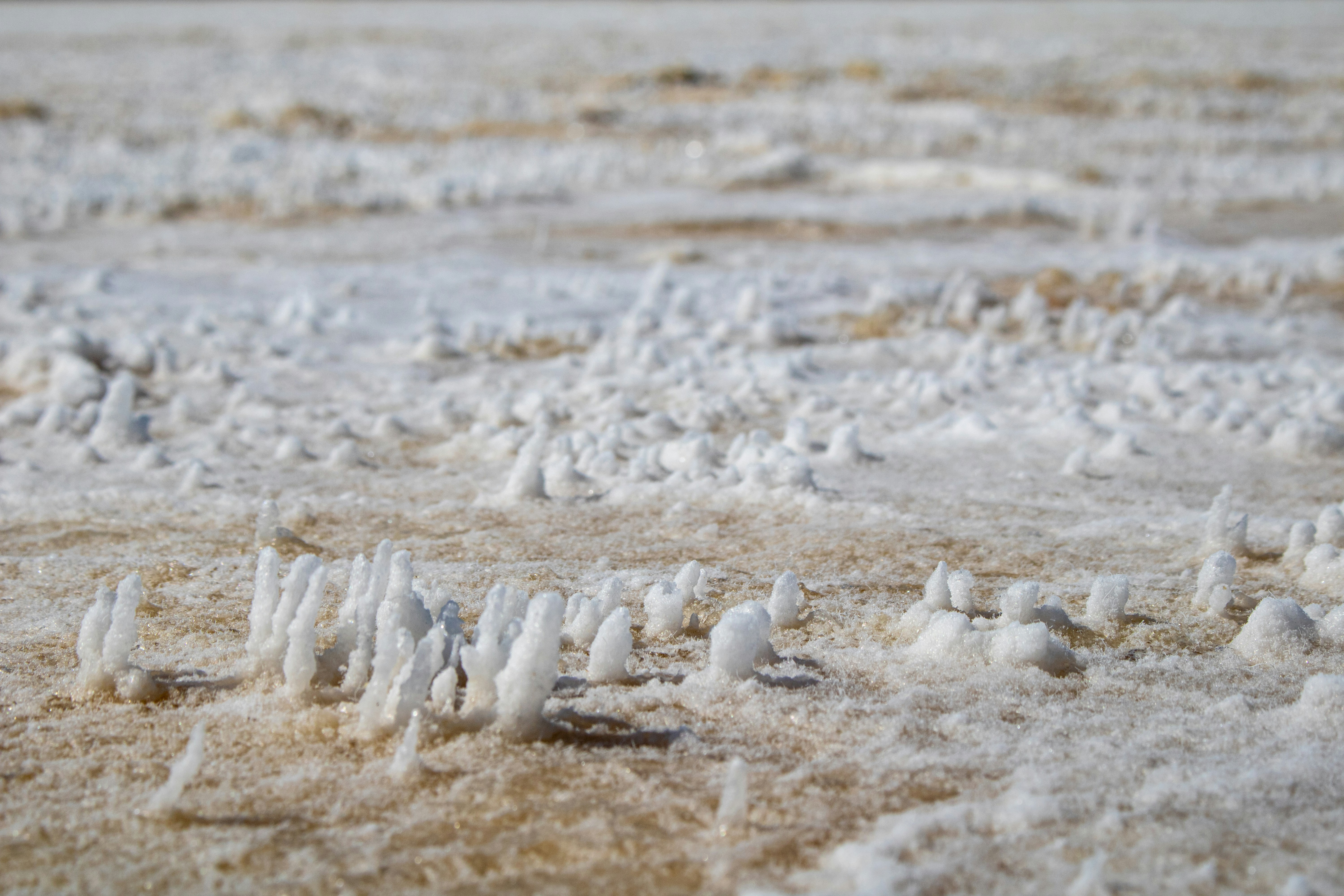 Photo by zoshuacolah