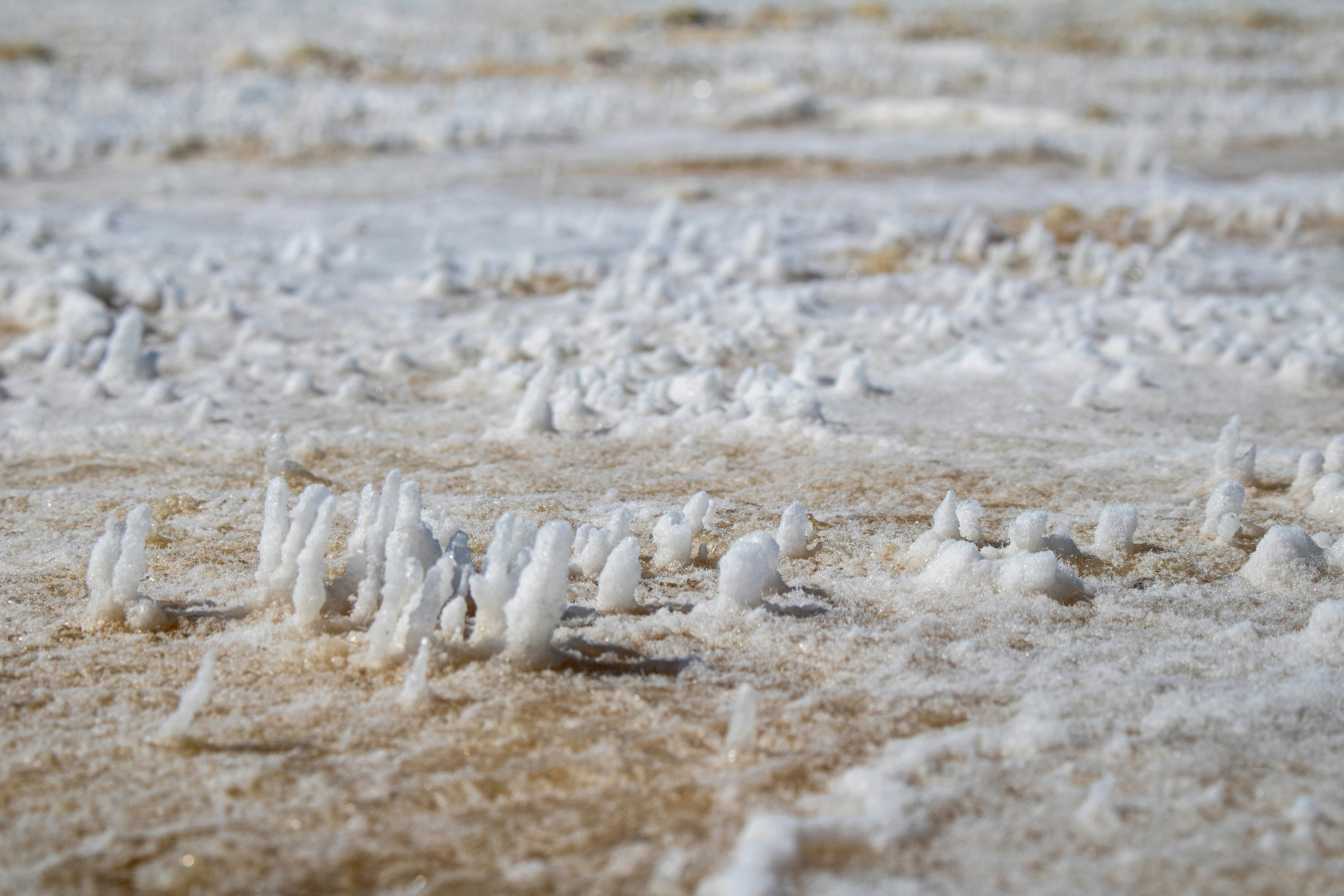 Photo by zoshuacolah