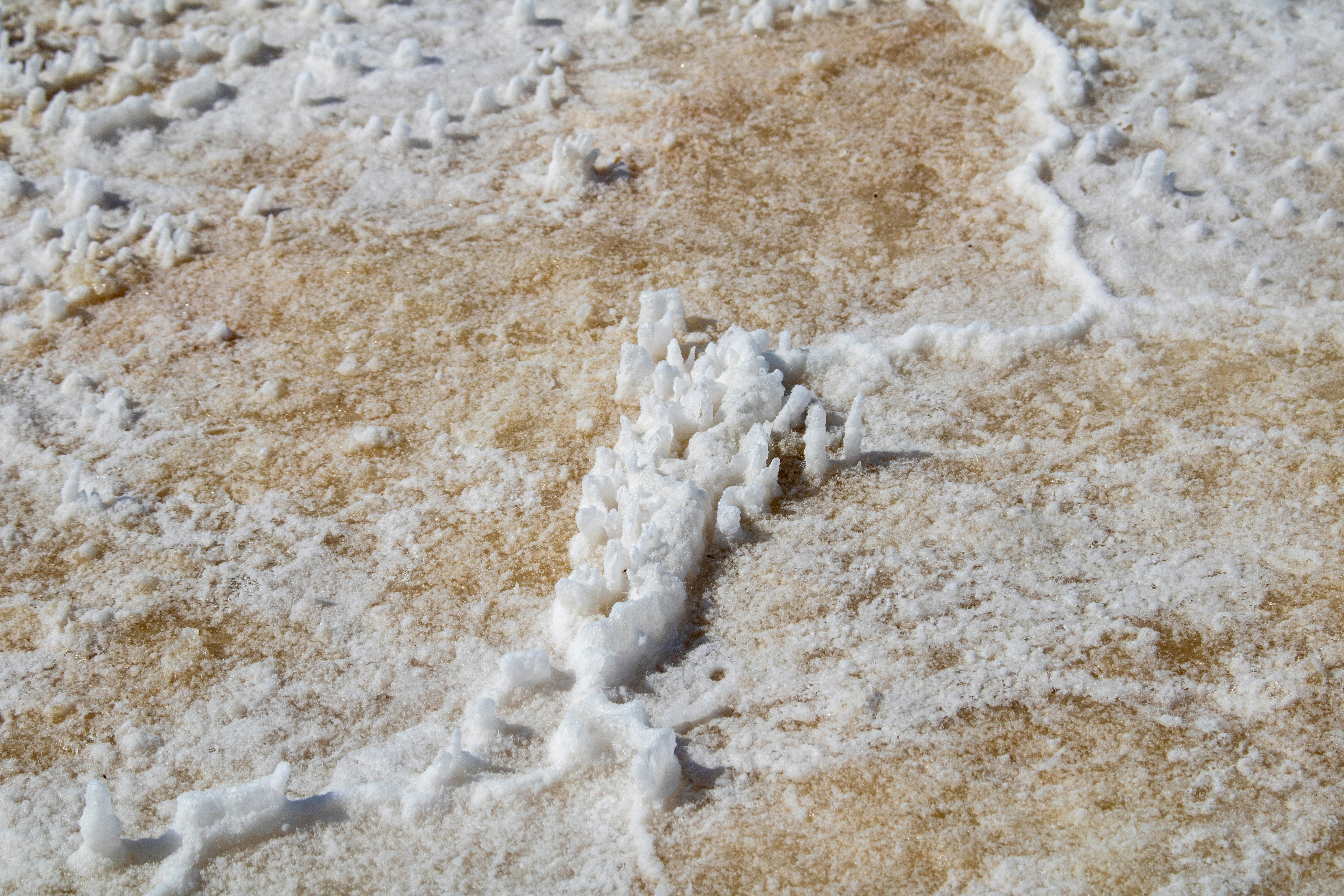 Photo by zoshuacolah