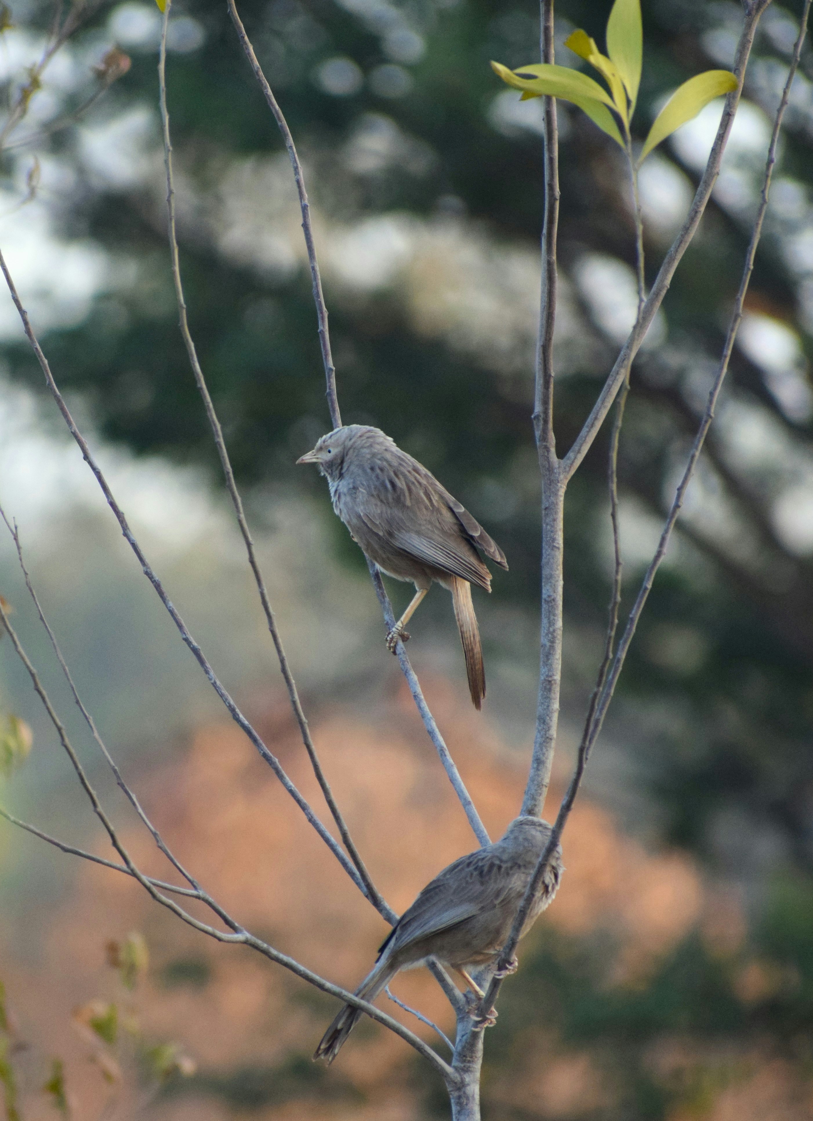 Photo by uniqlick