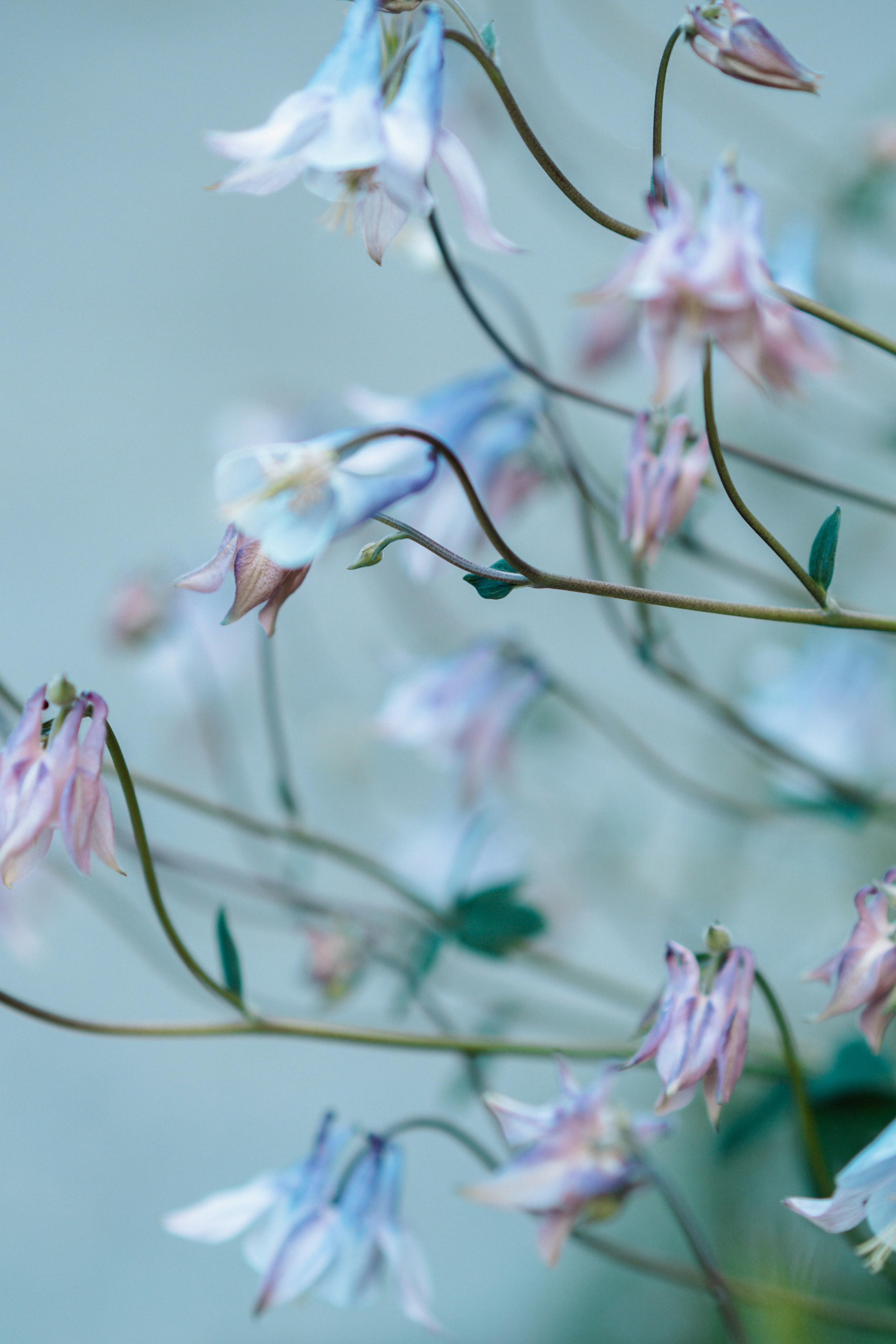 Photo by anamnesis33