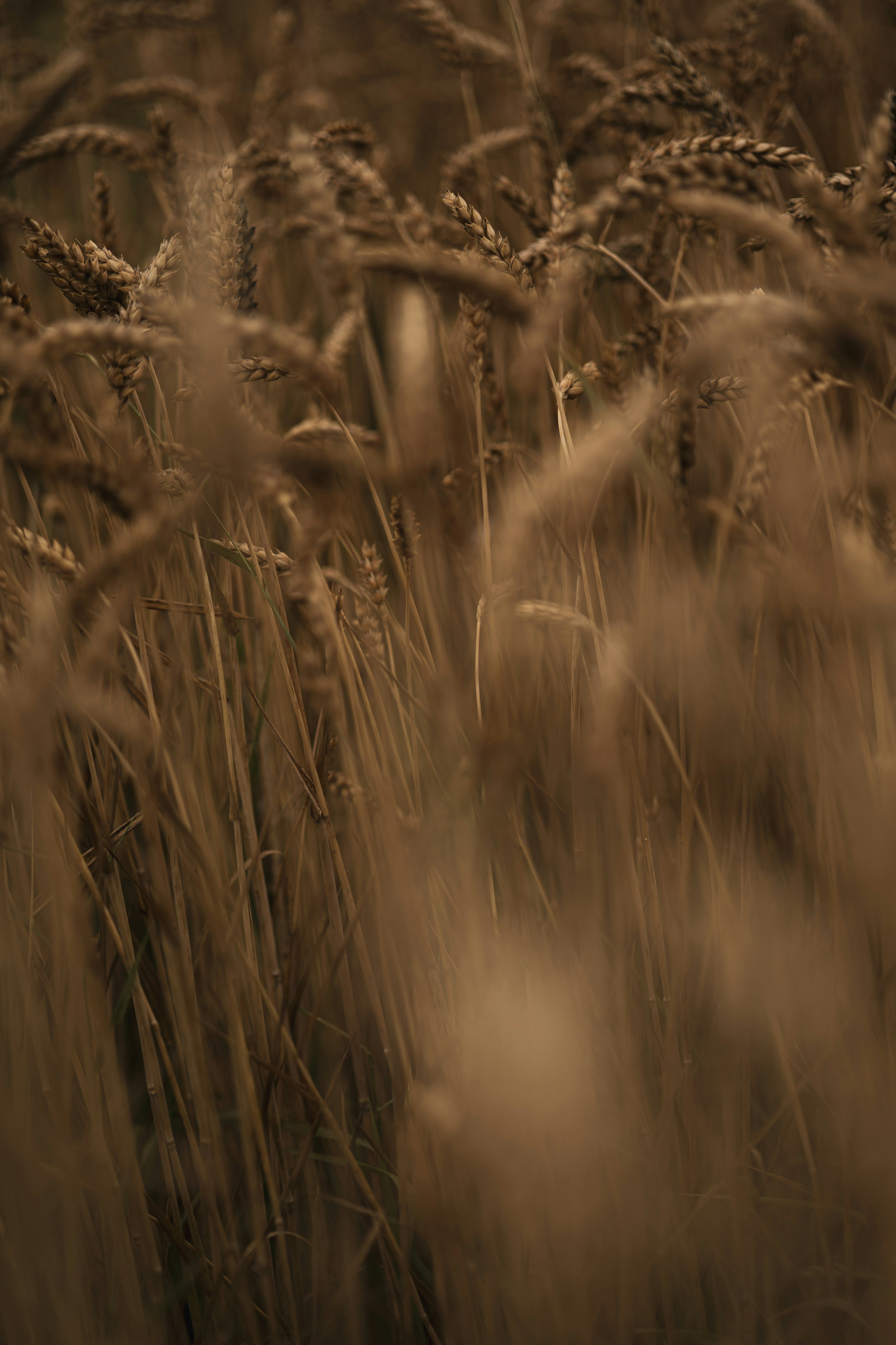 Photo by anna_c_wilhelm