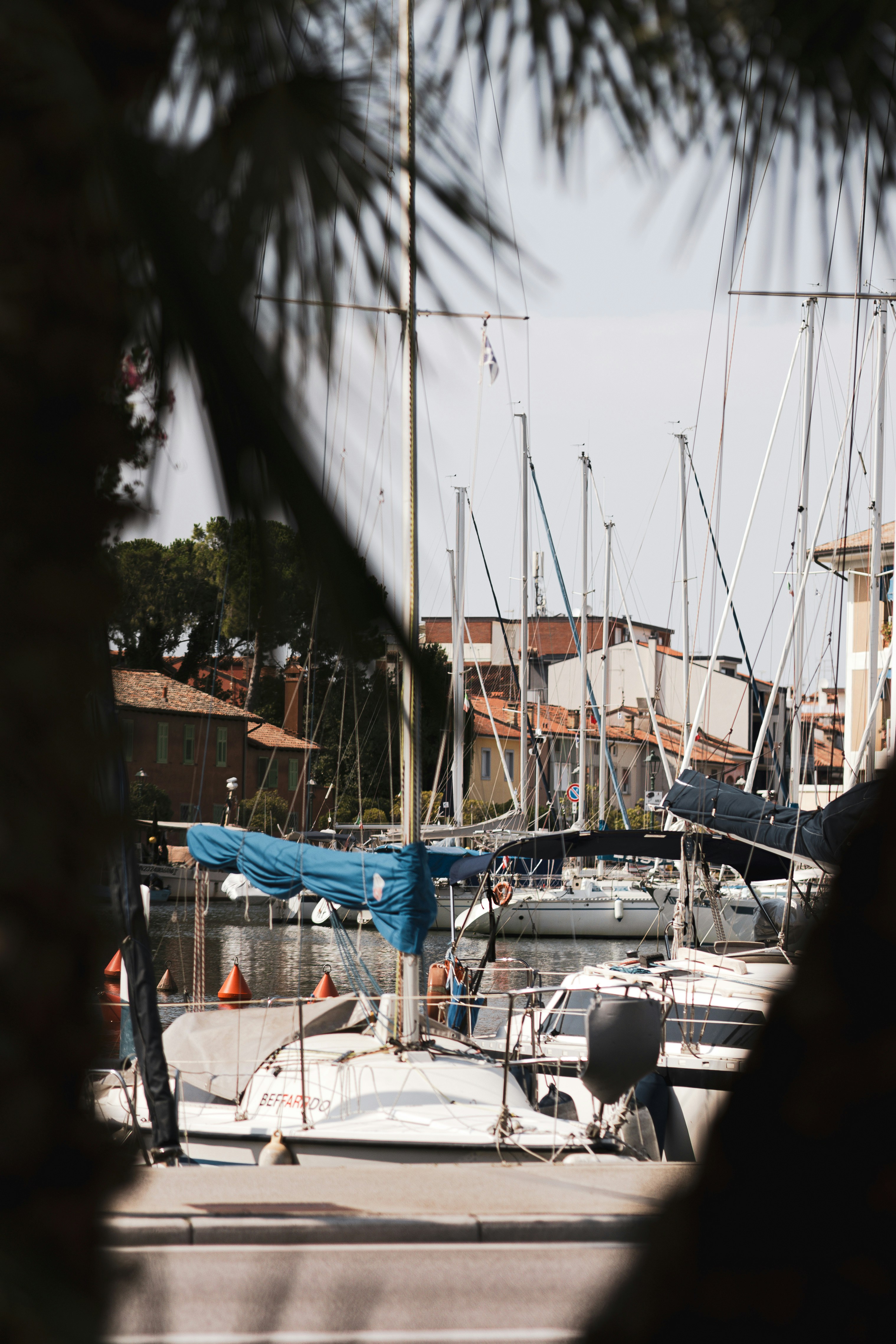 Photo by anna_c_wilhelm