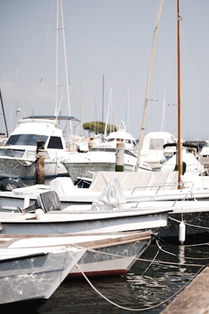 A bunch of boats that are in the water