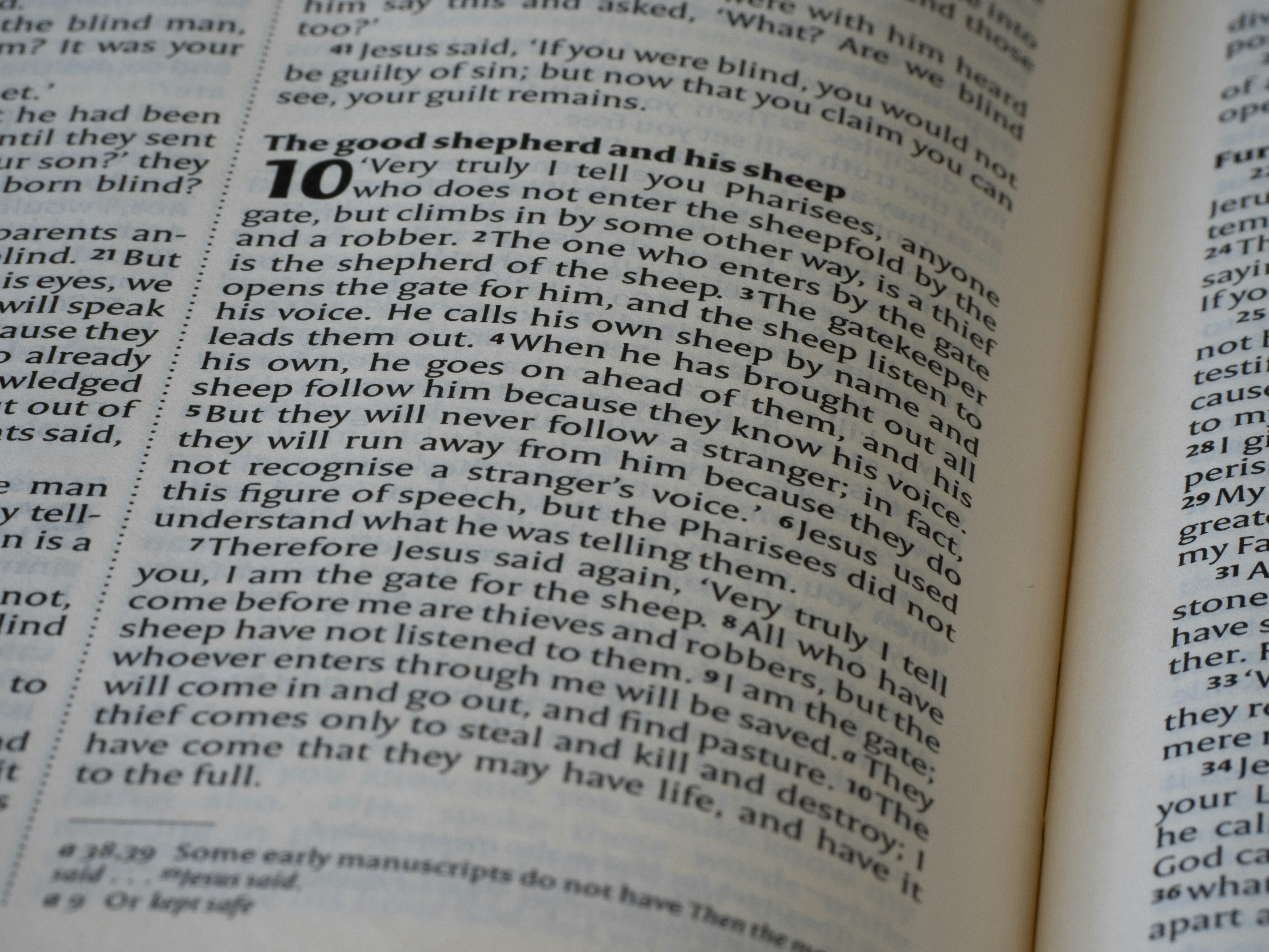 A close up of an open book with text photo – Free Text Image on Unsplash