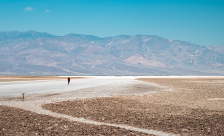 Death Valley, CA - The earth is so dry it cracked in Badwater Basin with salt seeping up