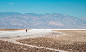 Death Valley, CA - The earth is so dry it cracked in Badwater Basin with salt seeping up