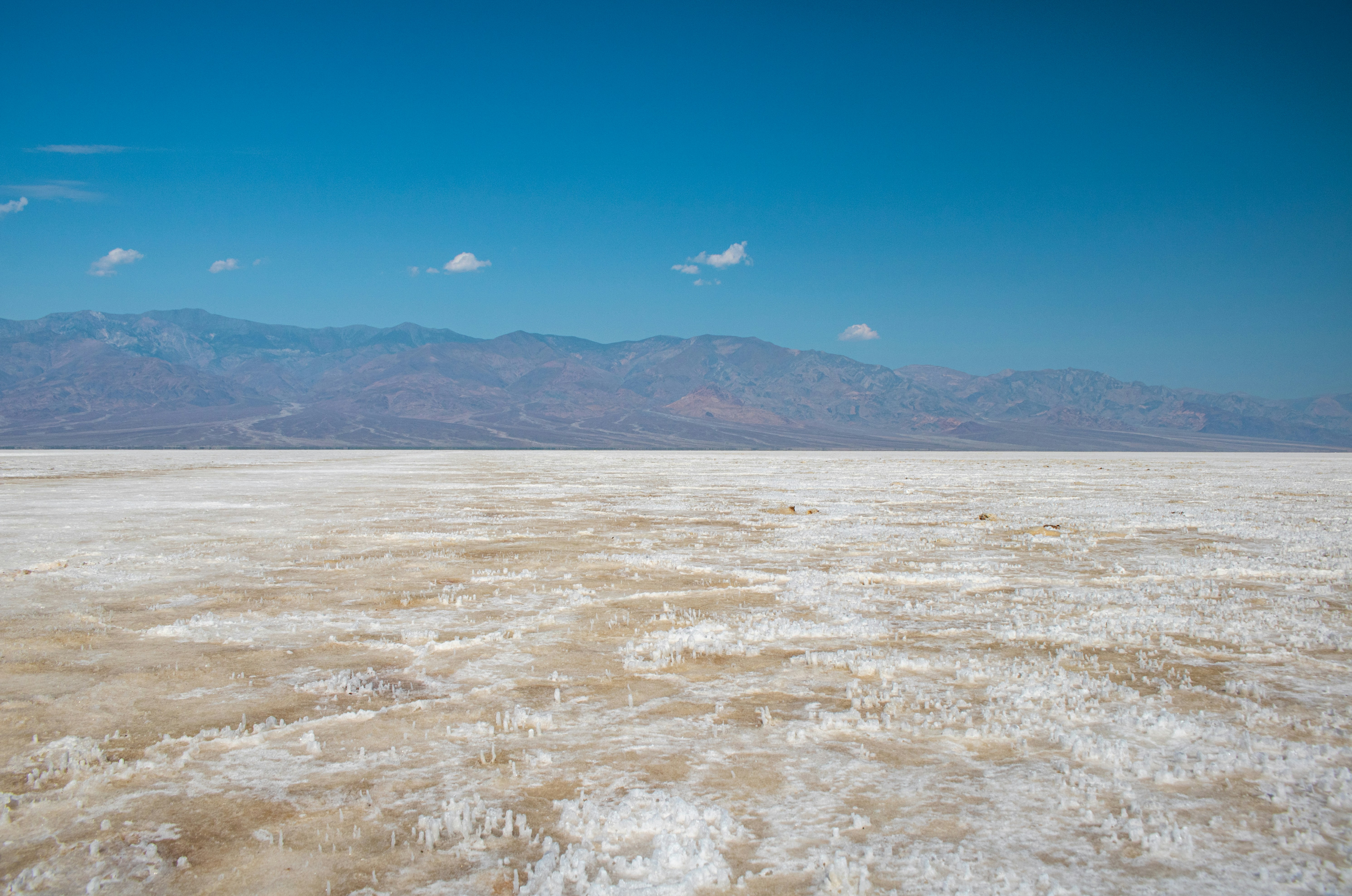 Photo by zoshuacolah