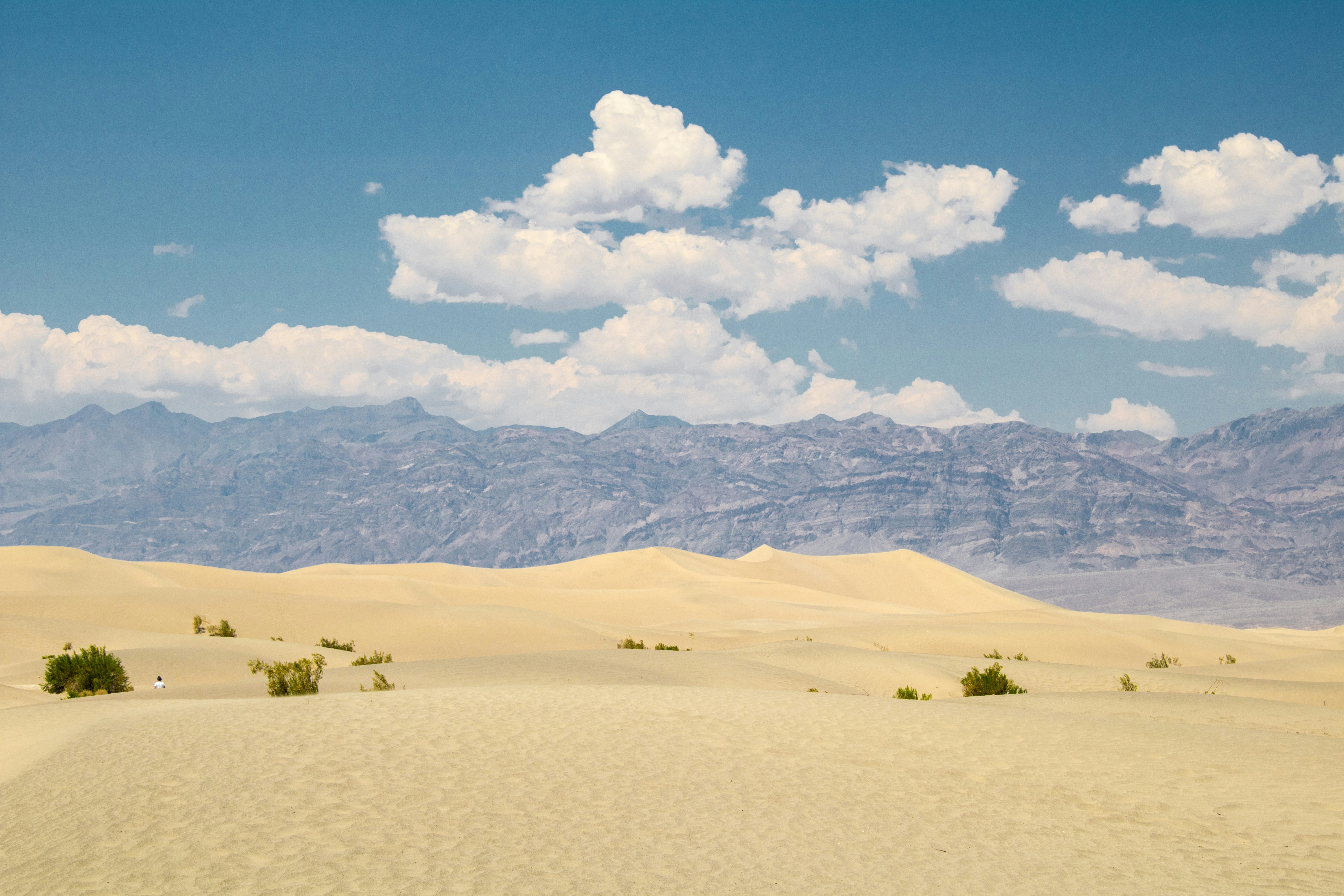 Photo by zoshuacolah