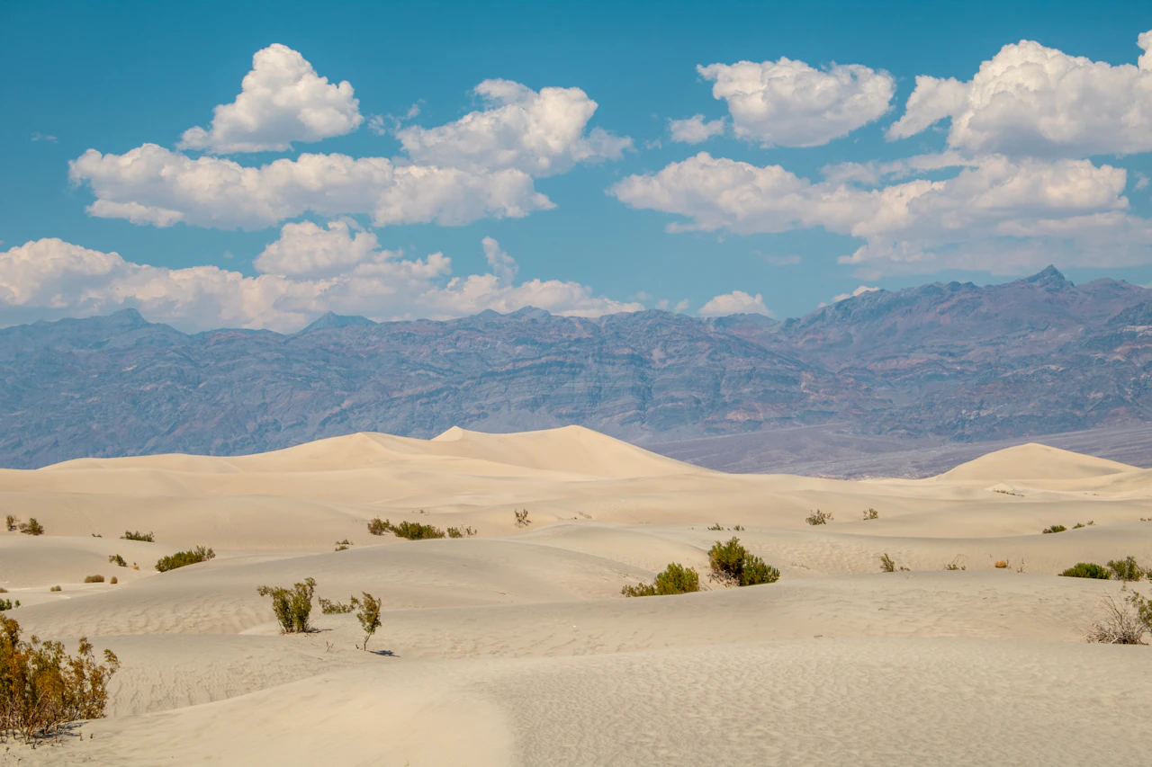 A desert landscape with mountains in the distance
