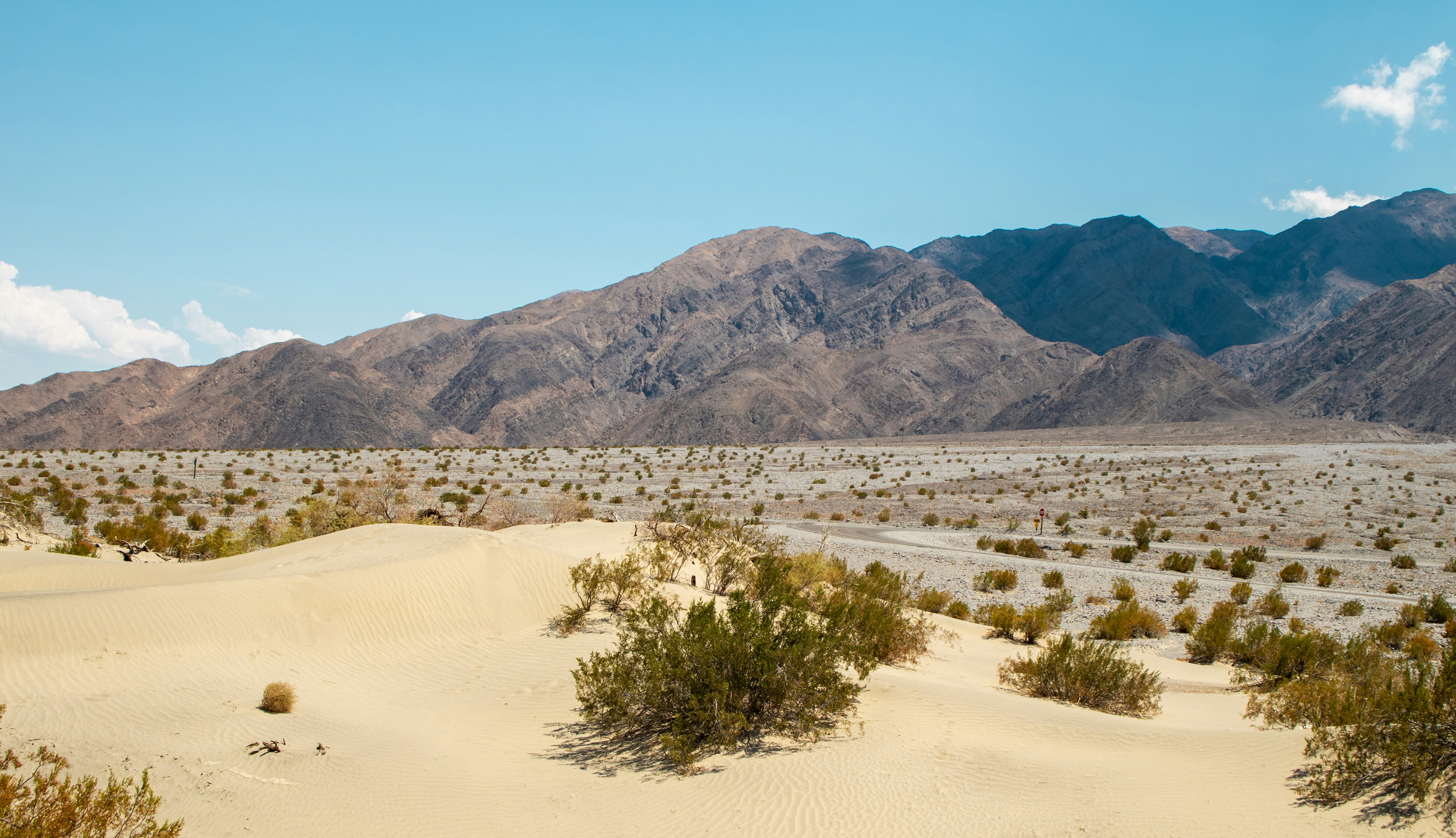 Photo by zoshuacolah