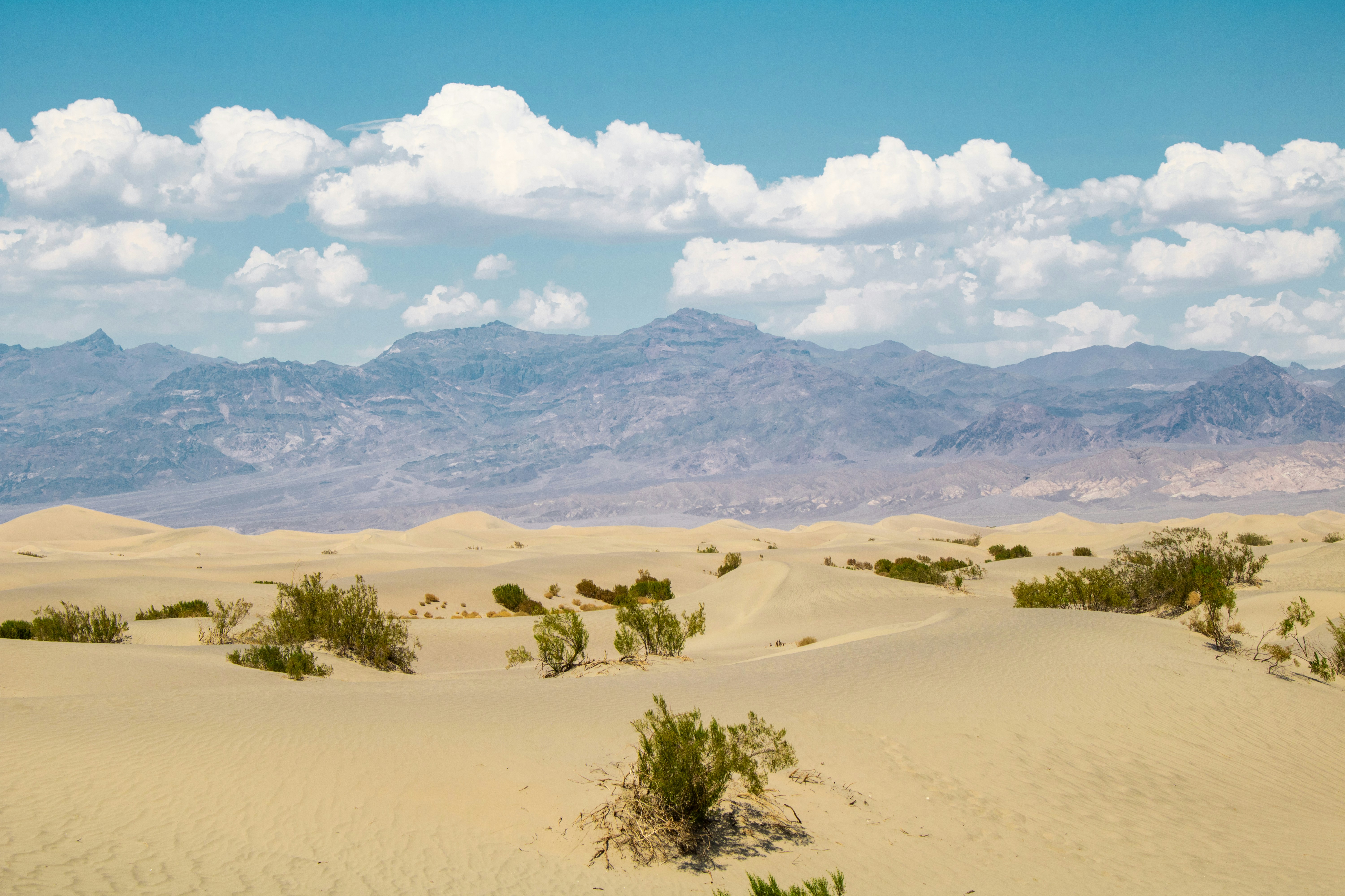 Photo by zoshuacolah