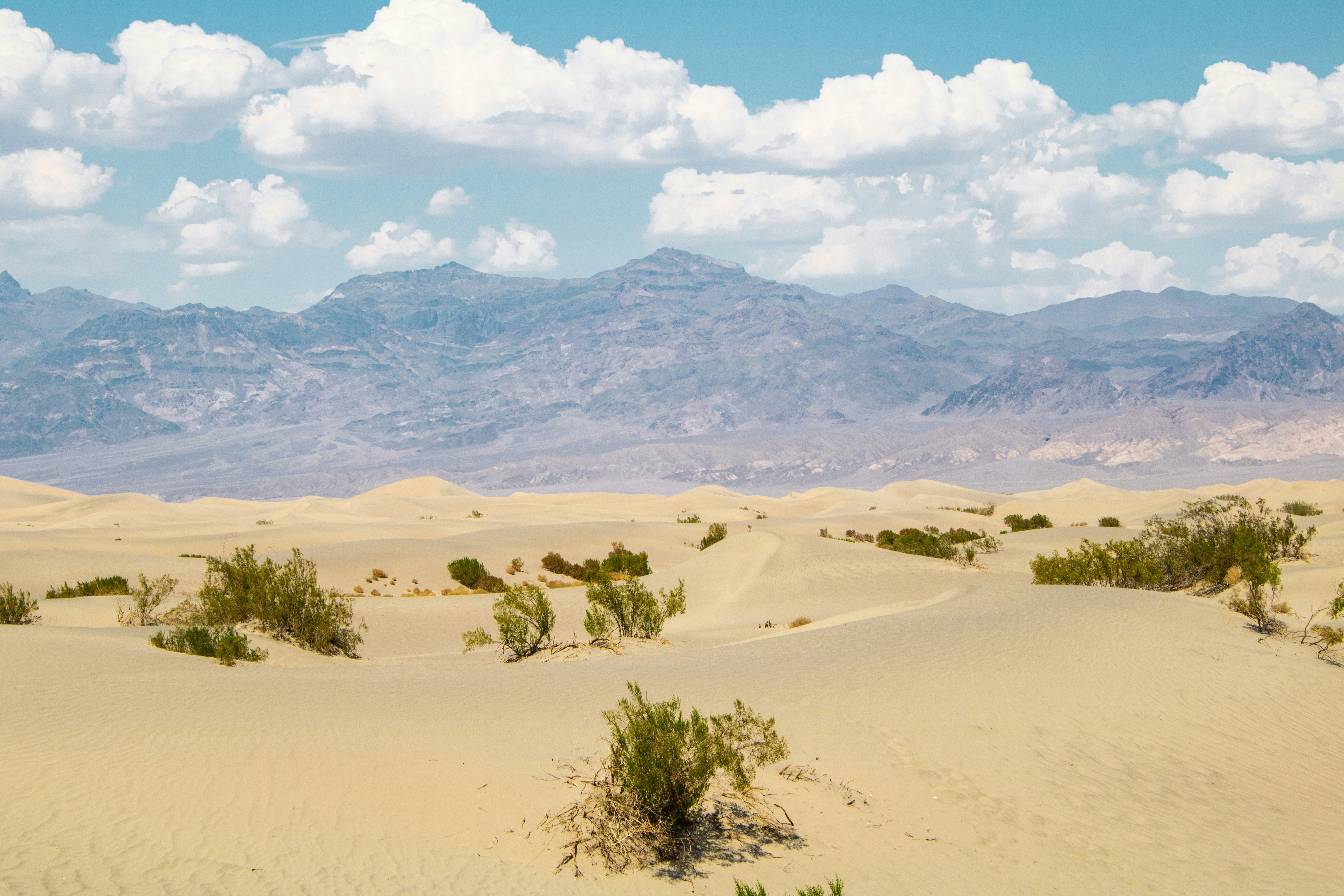 Photo by zoshuacolah