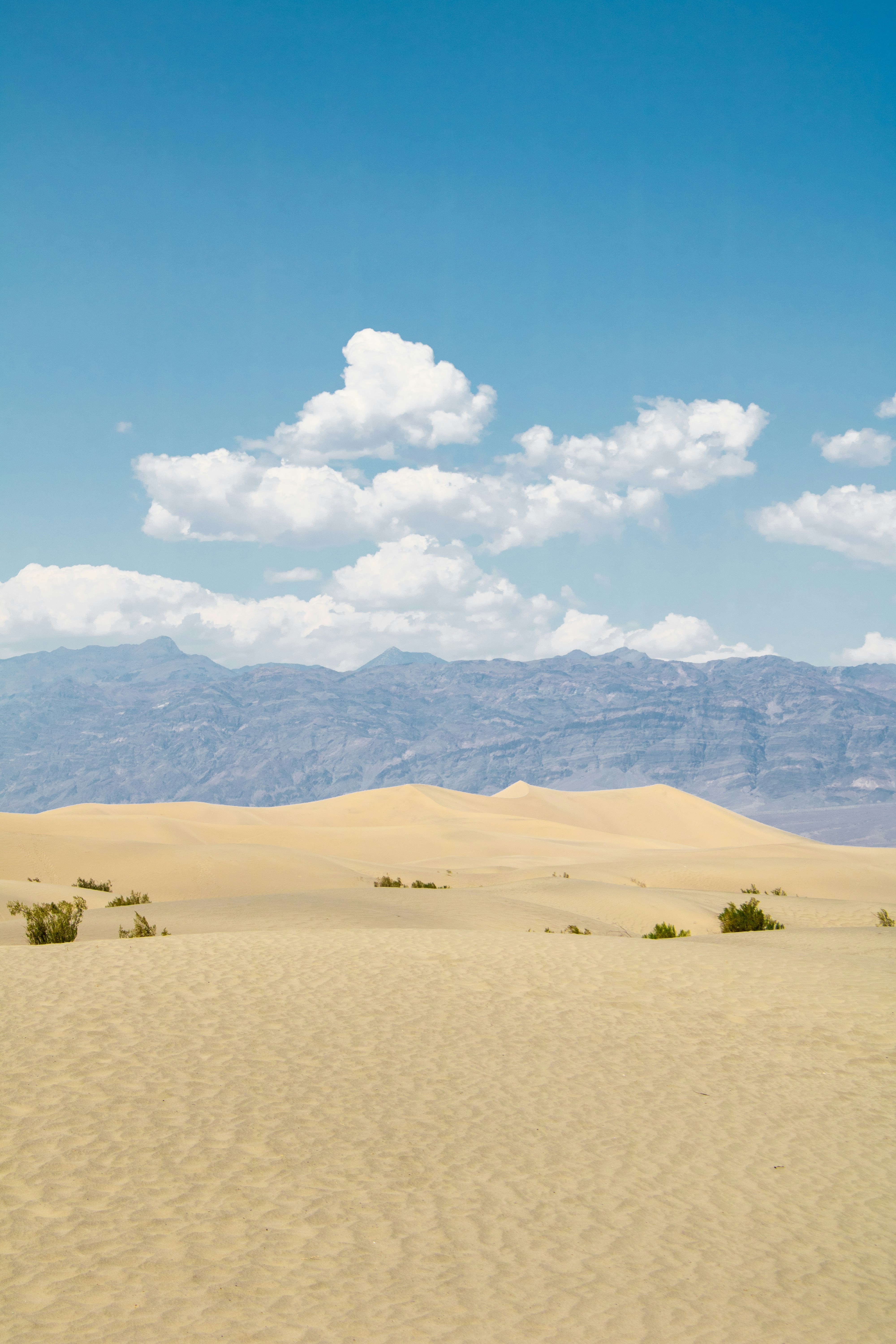 Photo by zoshuacolah