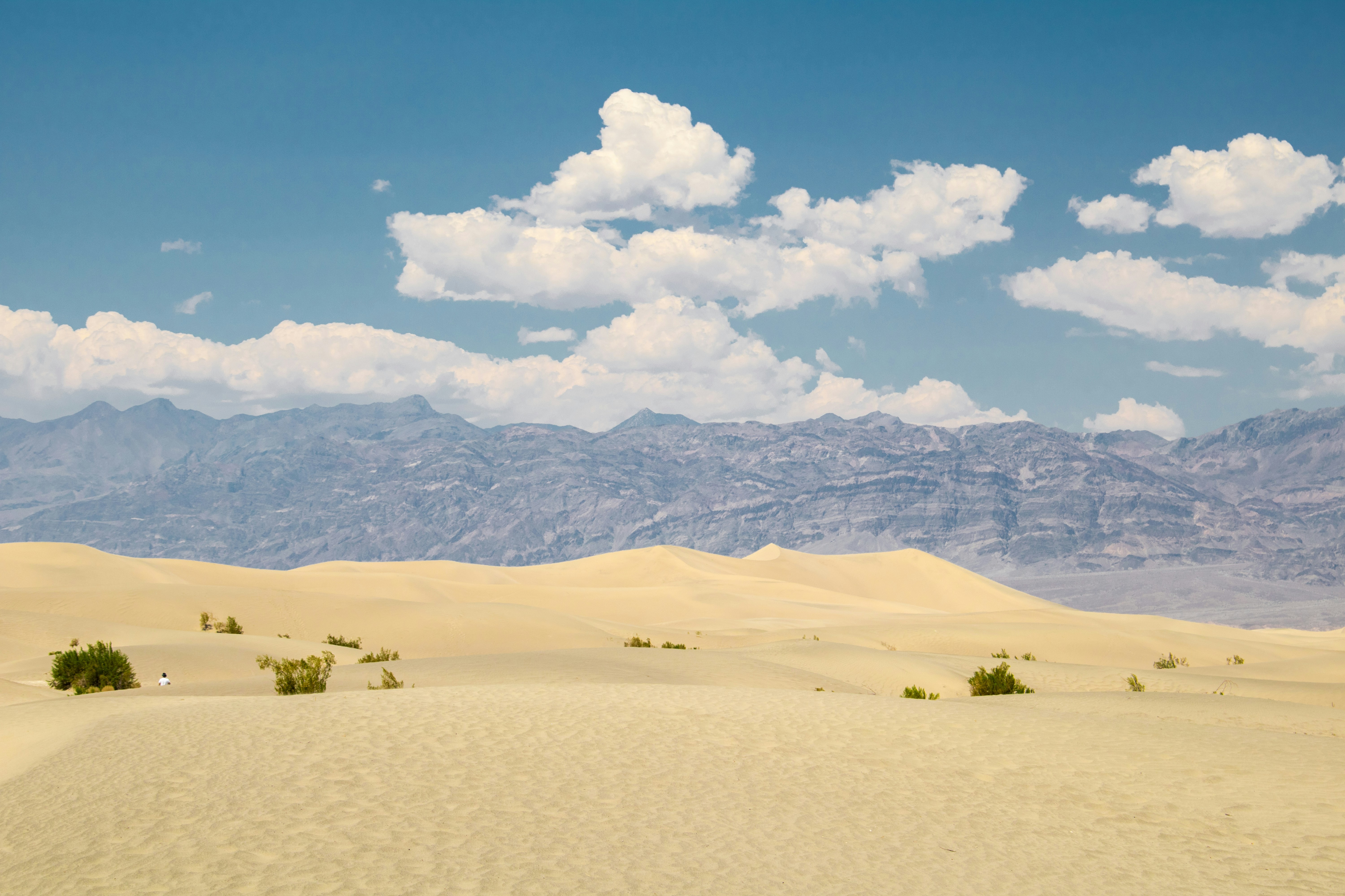 Photo by zoshuacolah