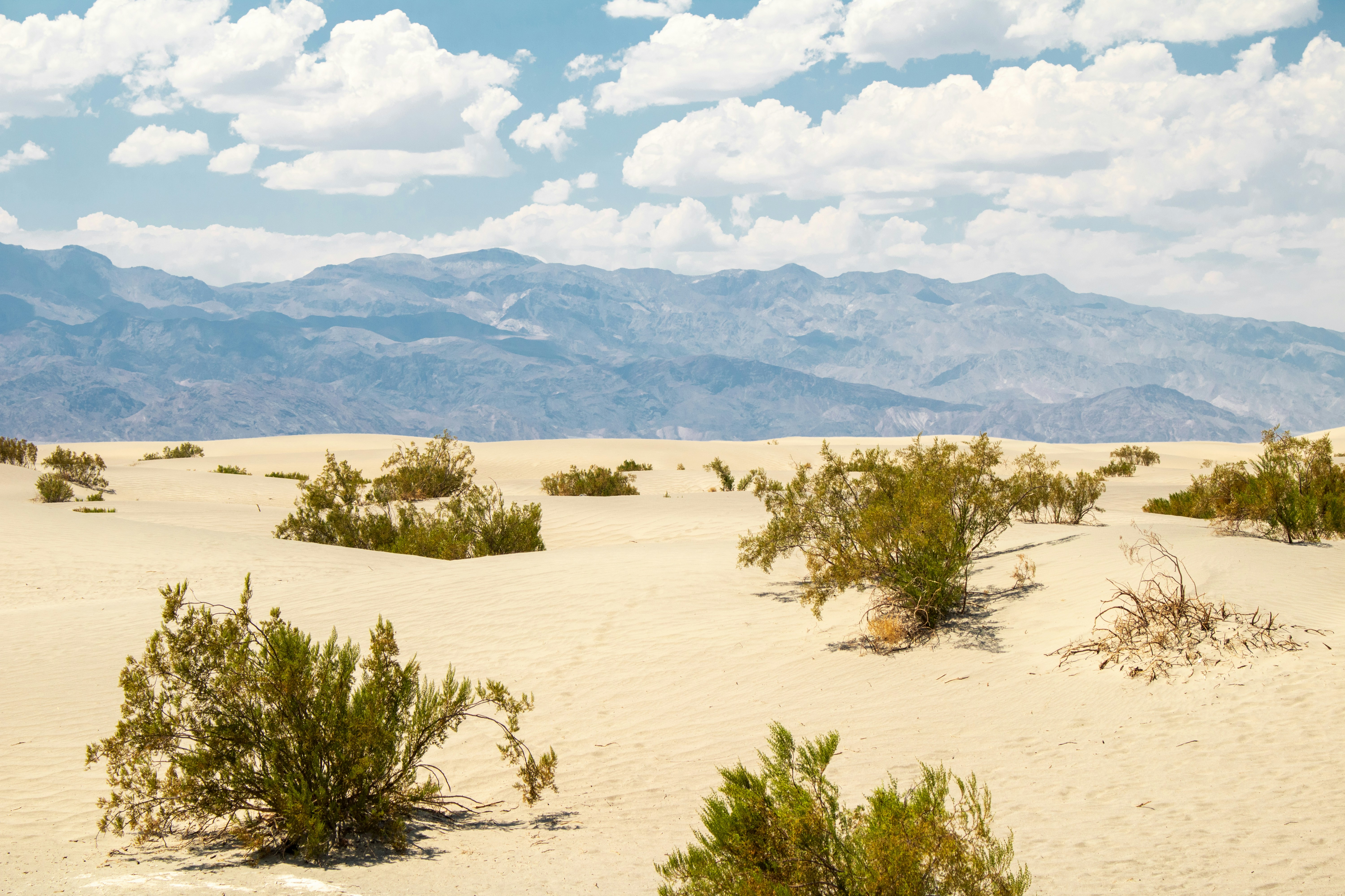 Photo by zoshuacolah