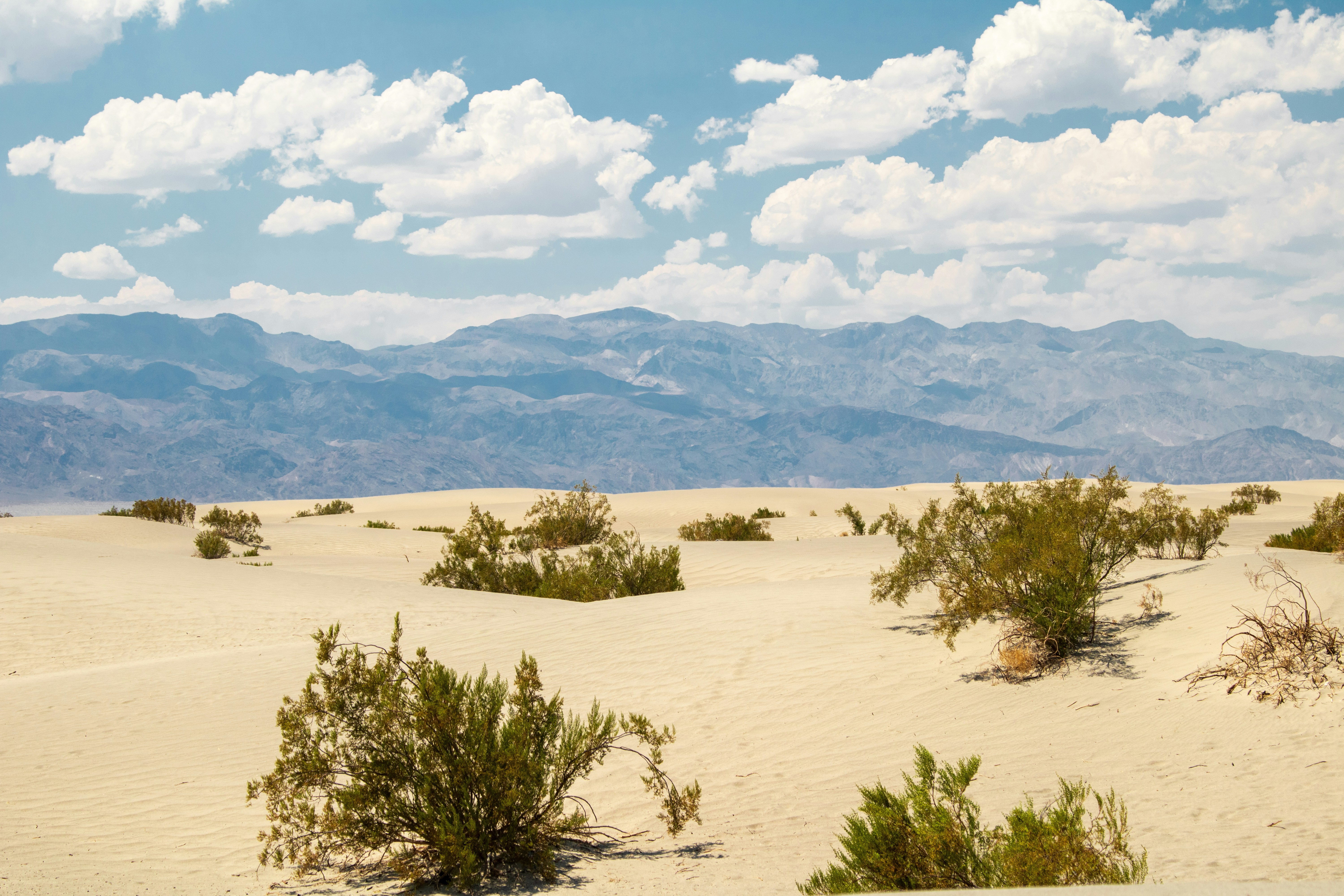 Photo by zoshuacolah