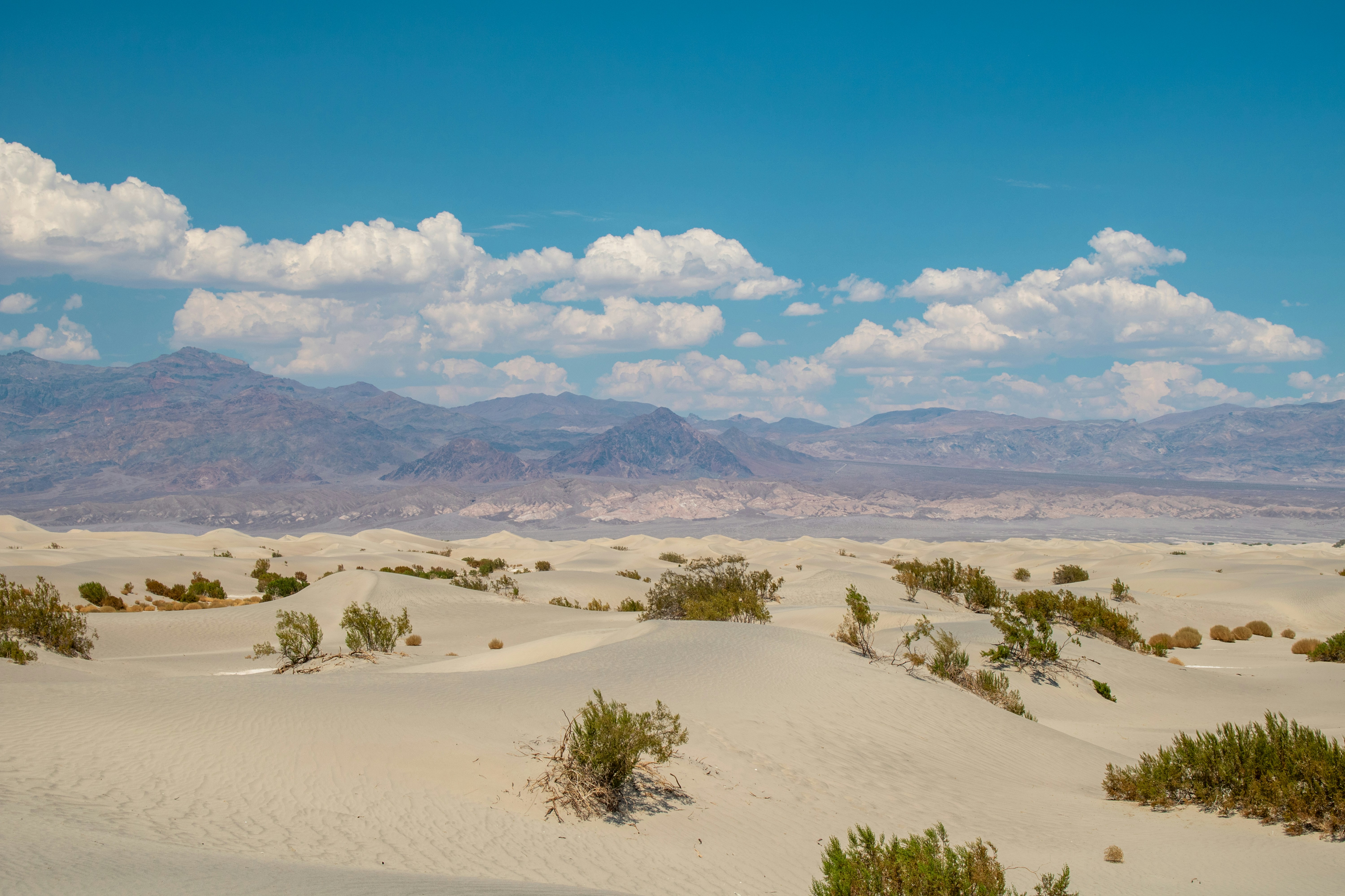 Photo by zoshuacolah