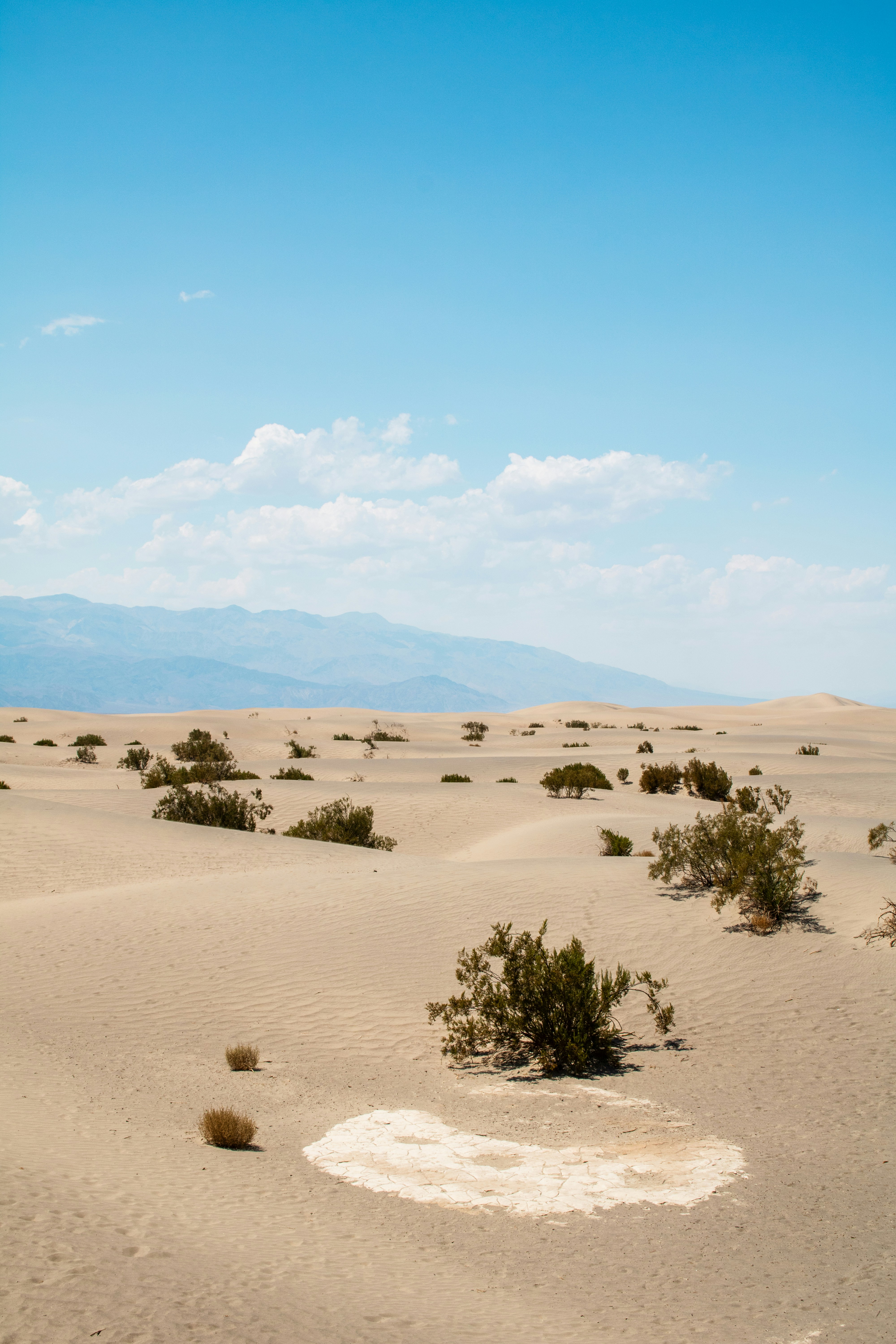 Photo by zoshuacolah