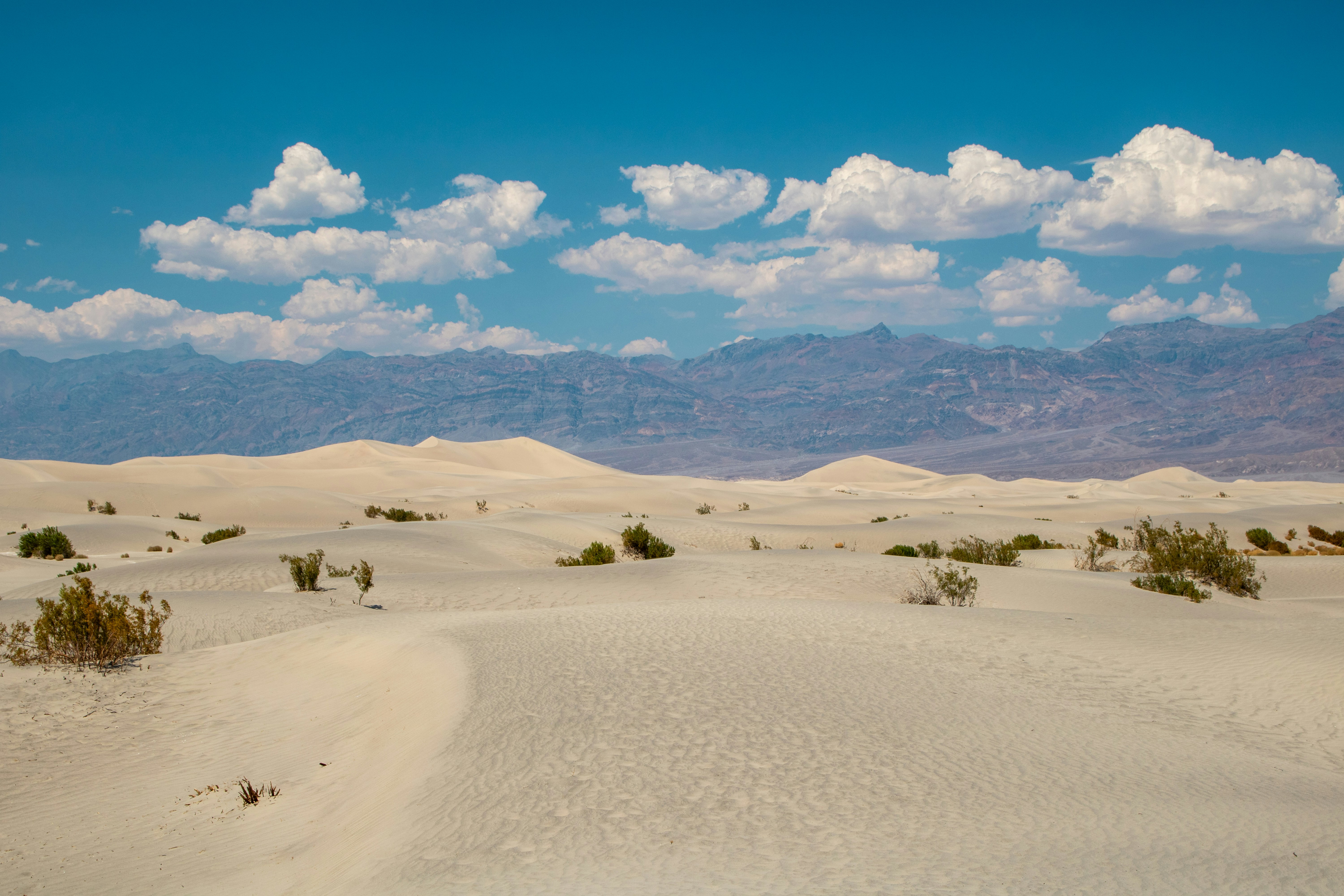 Photo by zoshuacolah