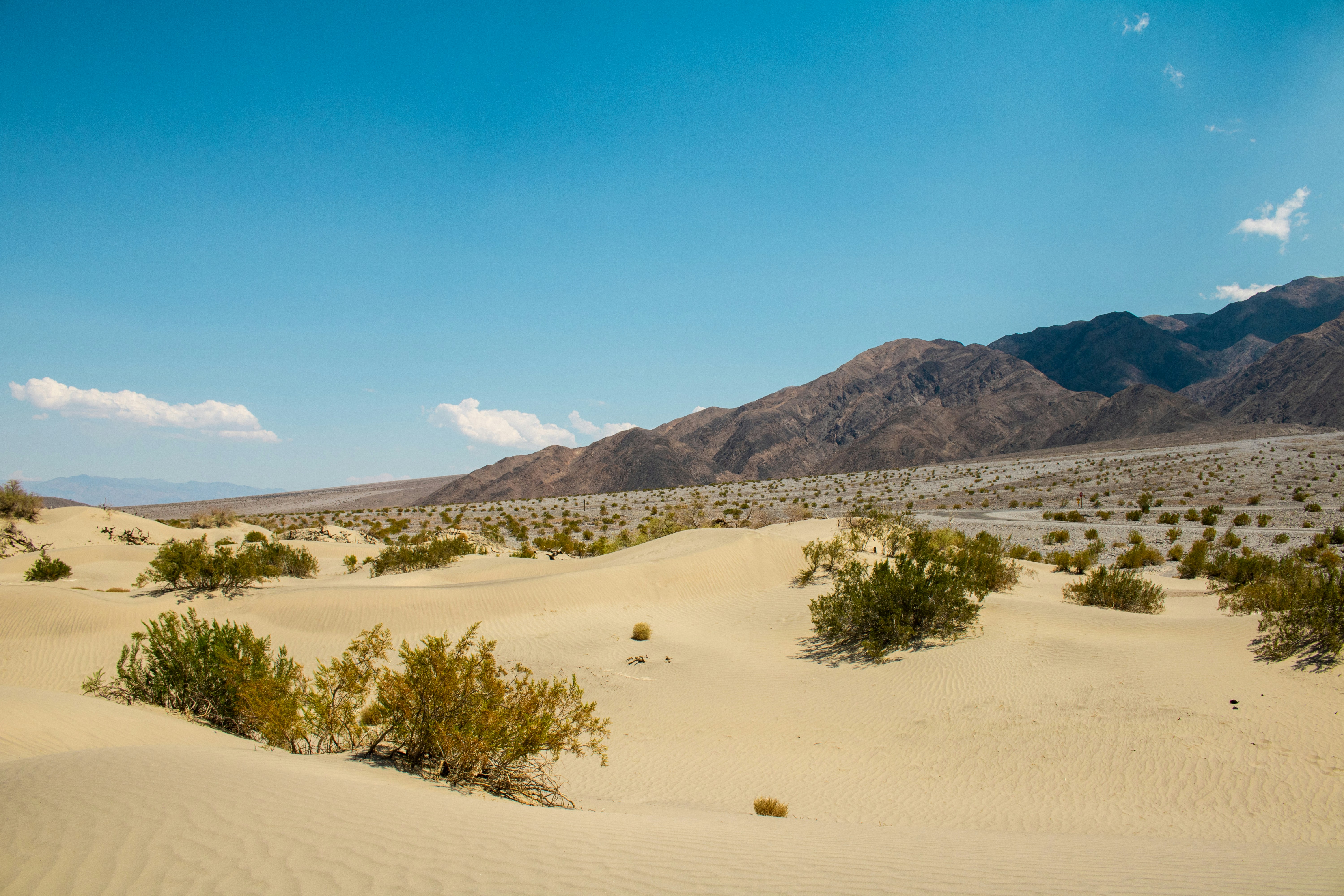 Photo by zoshuacolah