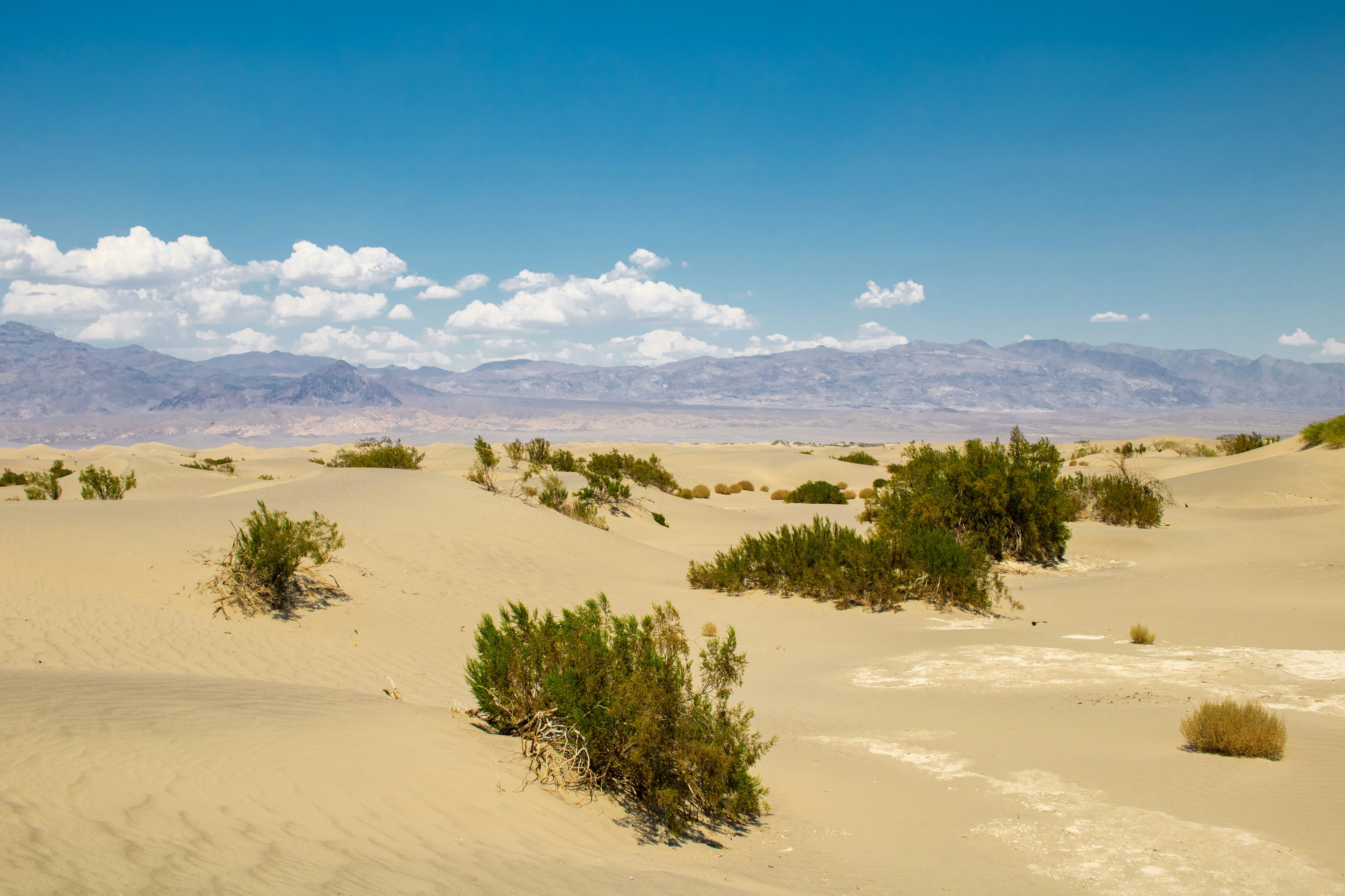 Photo by zoshuacolah