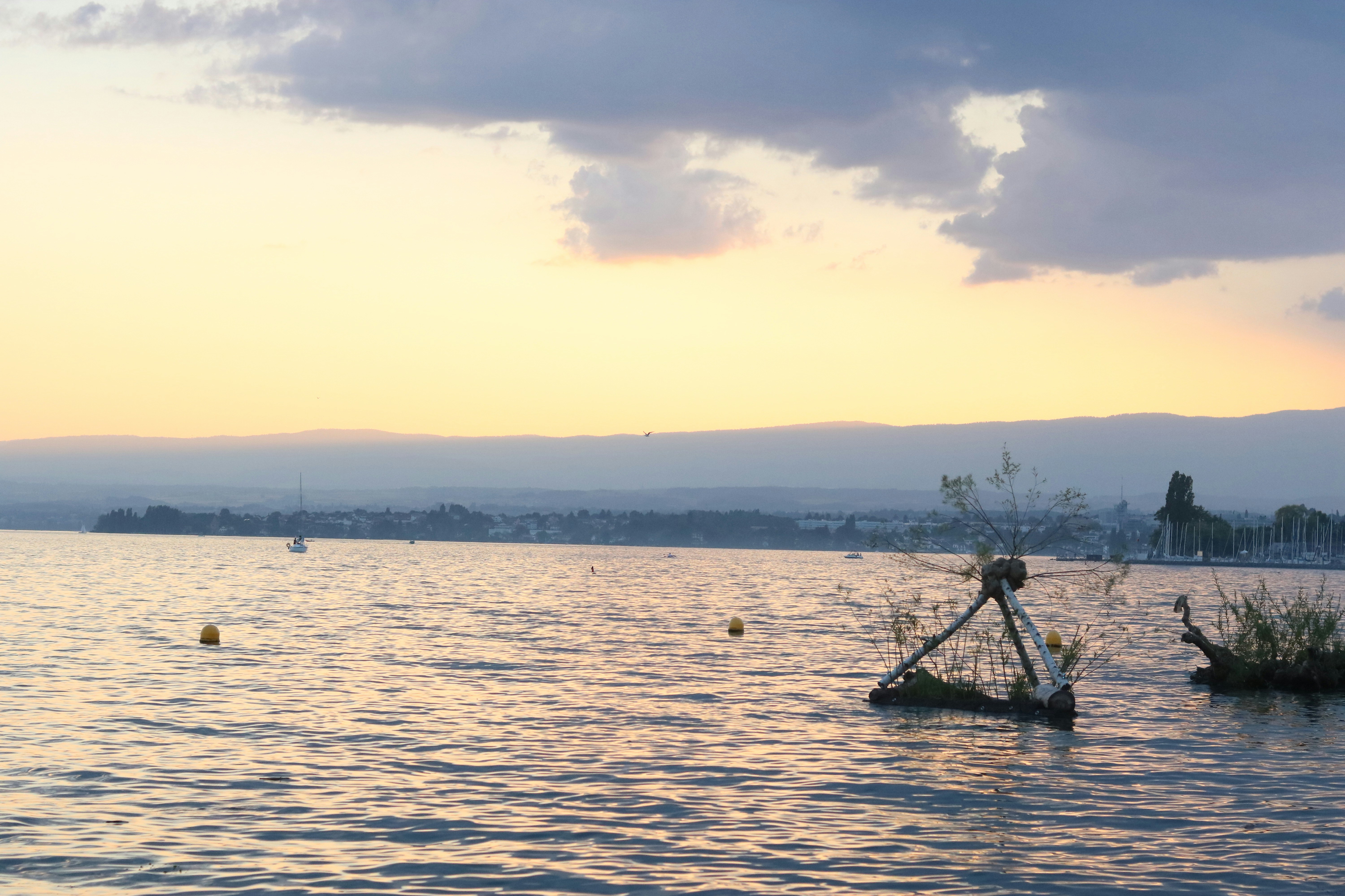 Suisse Bank - Security & Fraud Protection