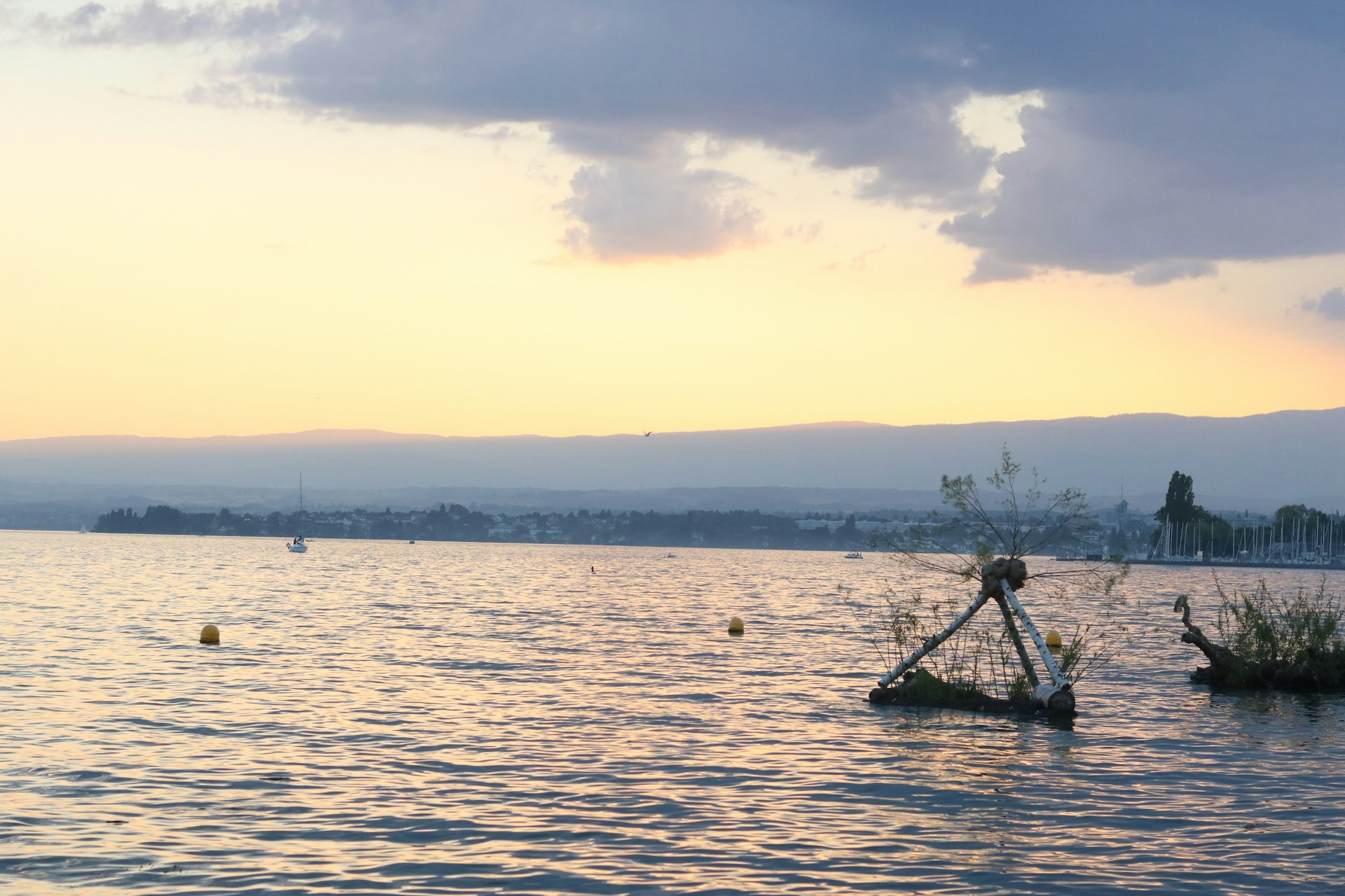 Suisse Bank - Security & Fraud Protection