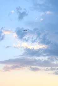 A plane is flying in the sky over a field