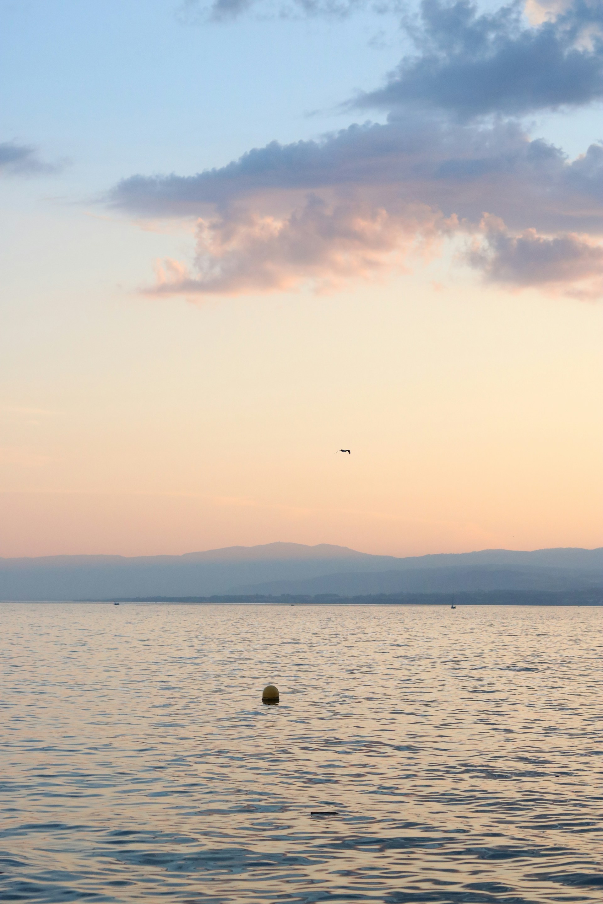 A large body of water with a sky in the background