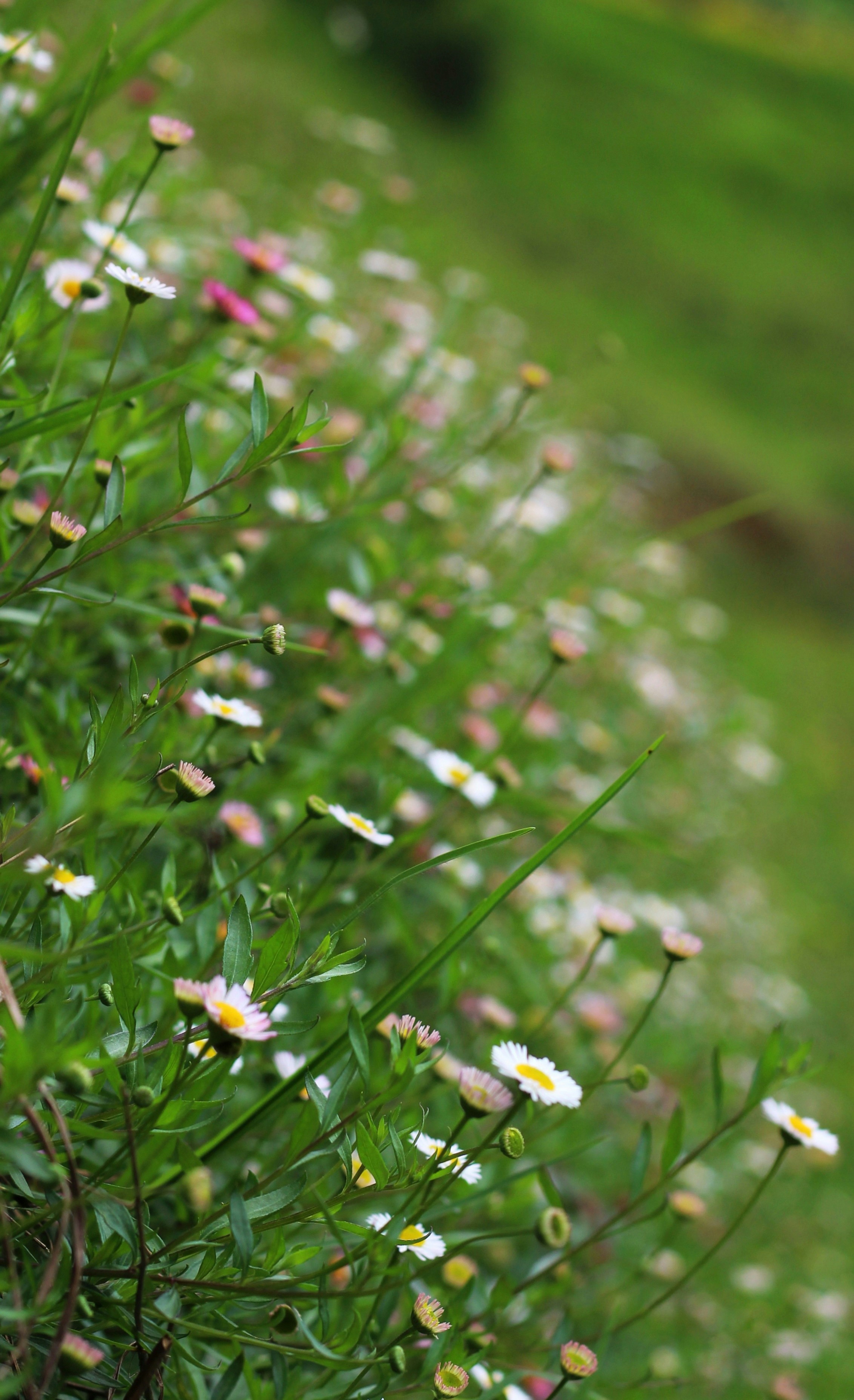 Photo by aditya_sethia_97