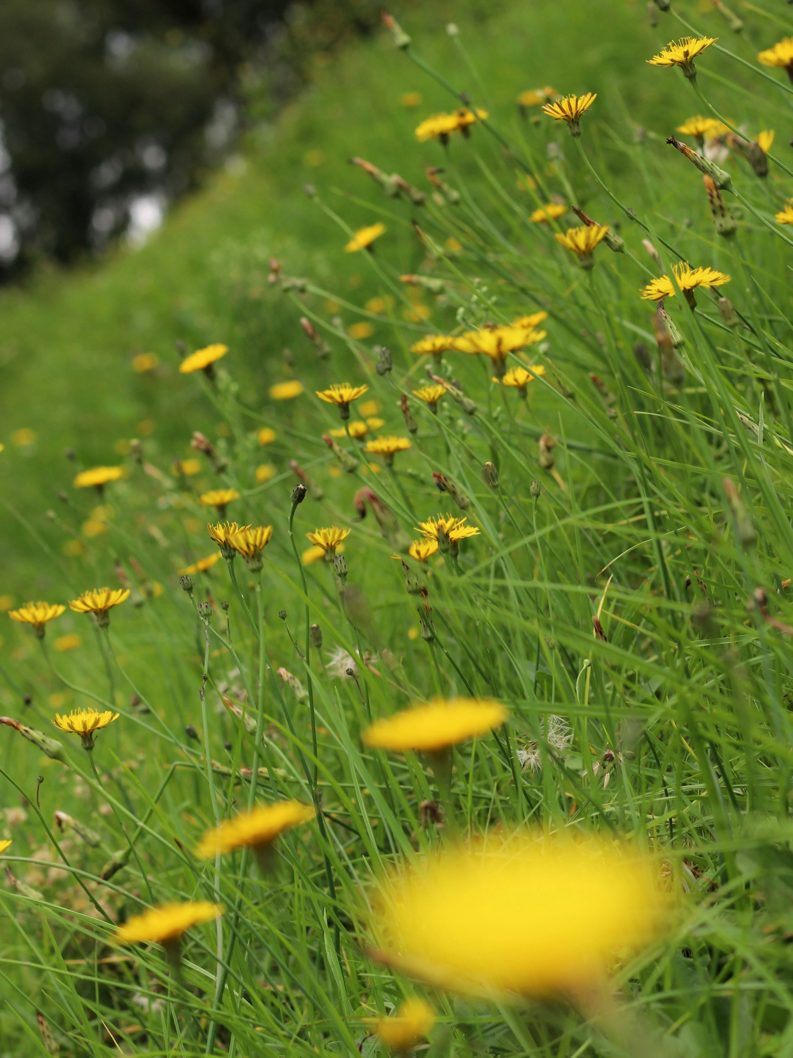 Photo by aditya_sethia_97