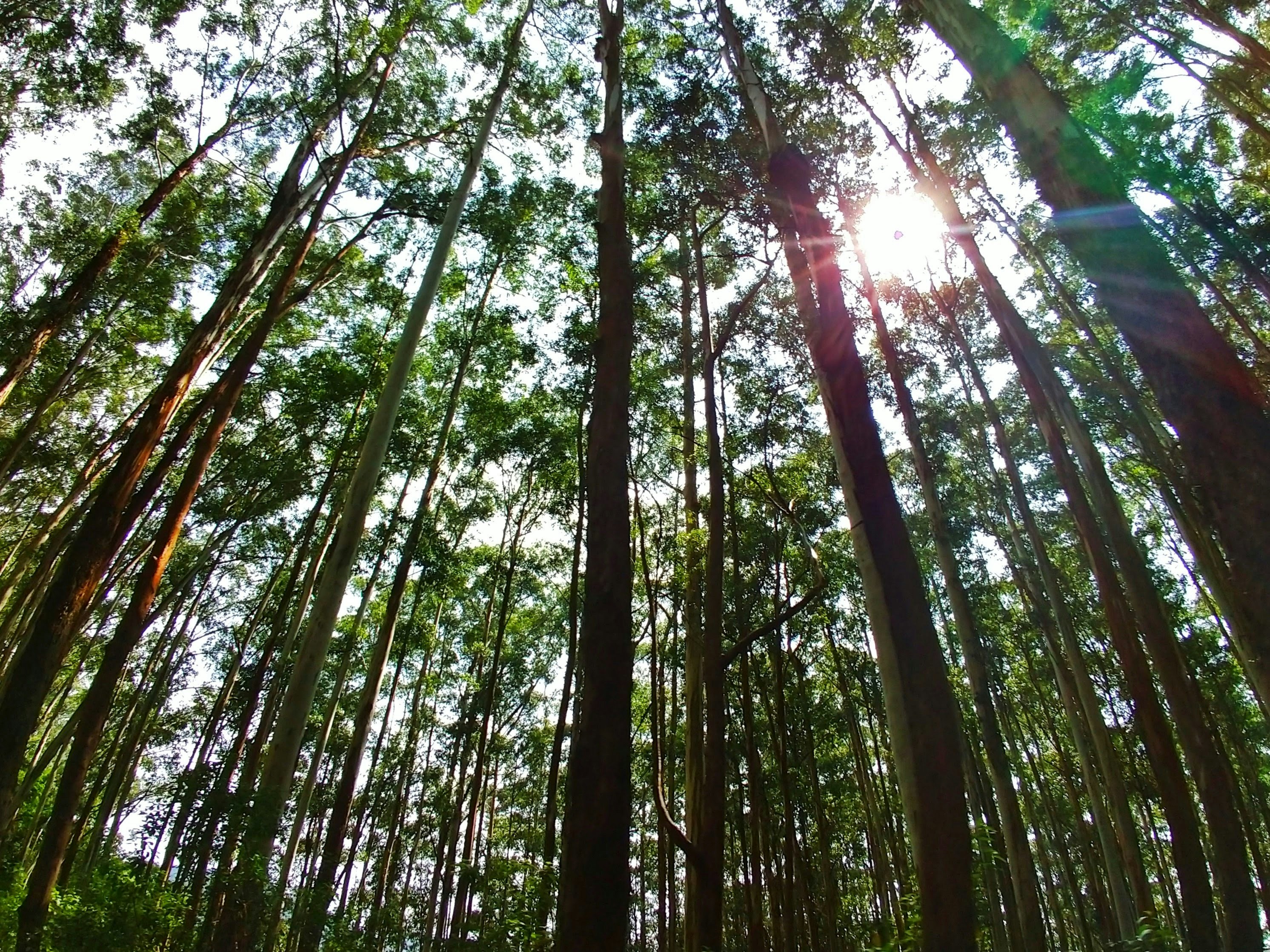 Photo by aditya_sethia_97