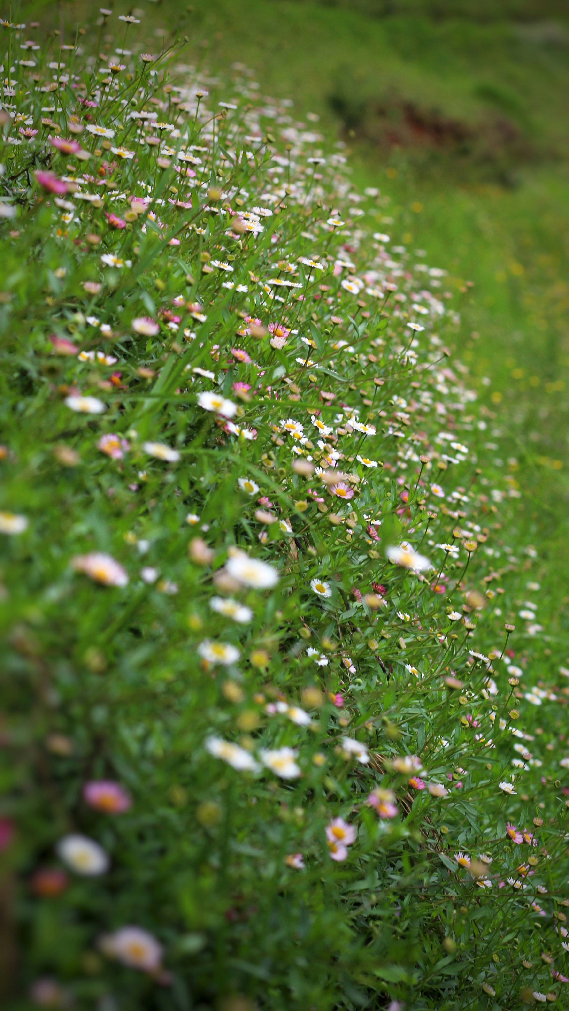 Photo by aditya_sethia_97