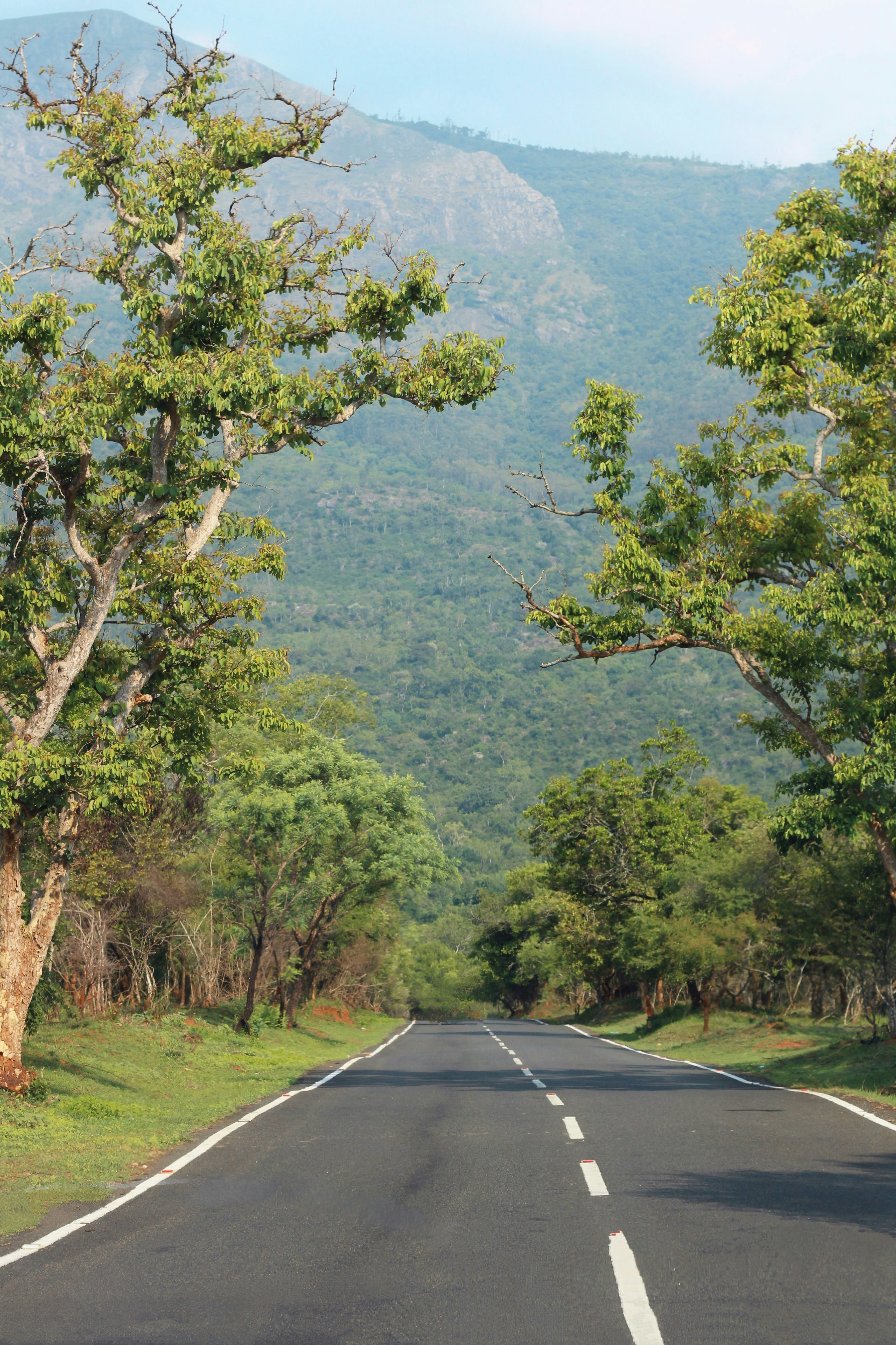 Photo by aditya_sethia_97