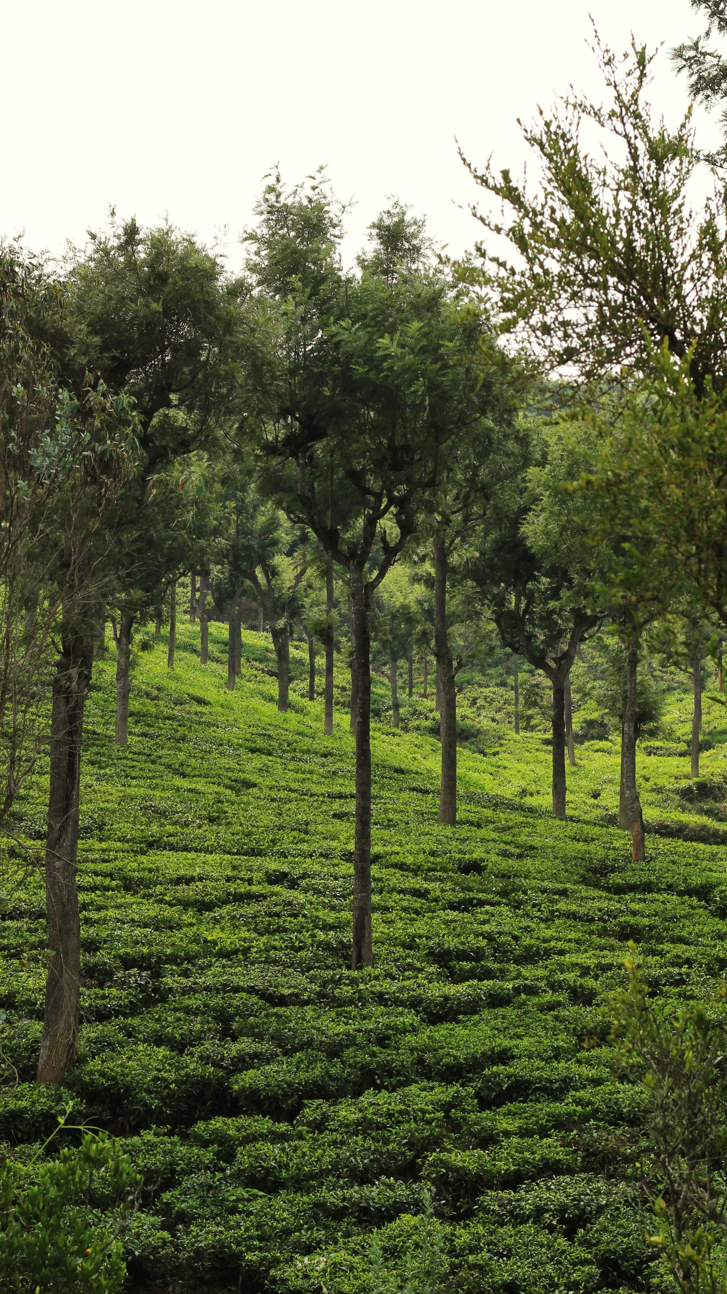 Photo by aditya_sethia_97