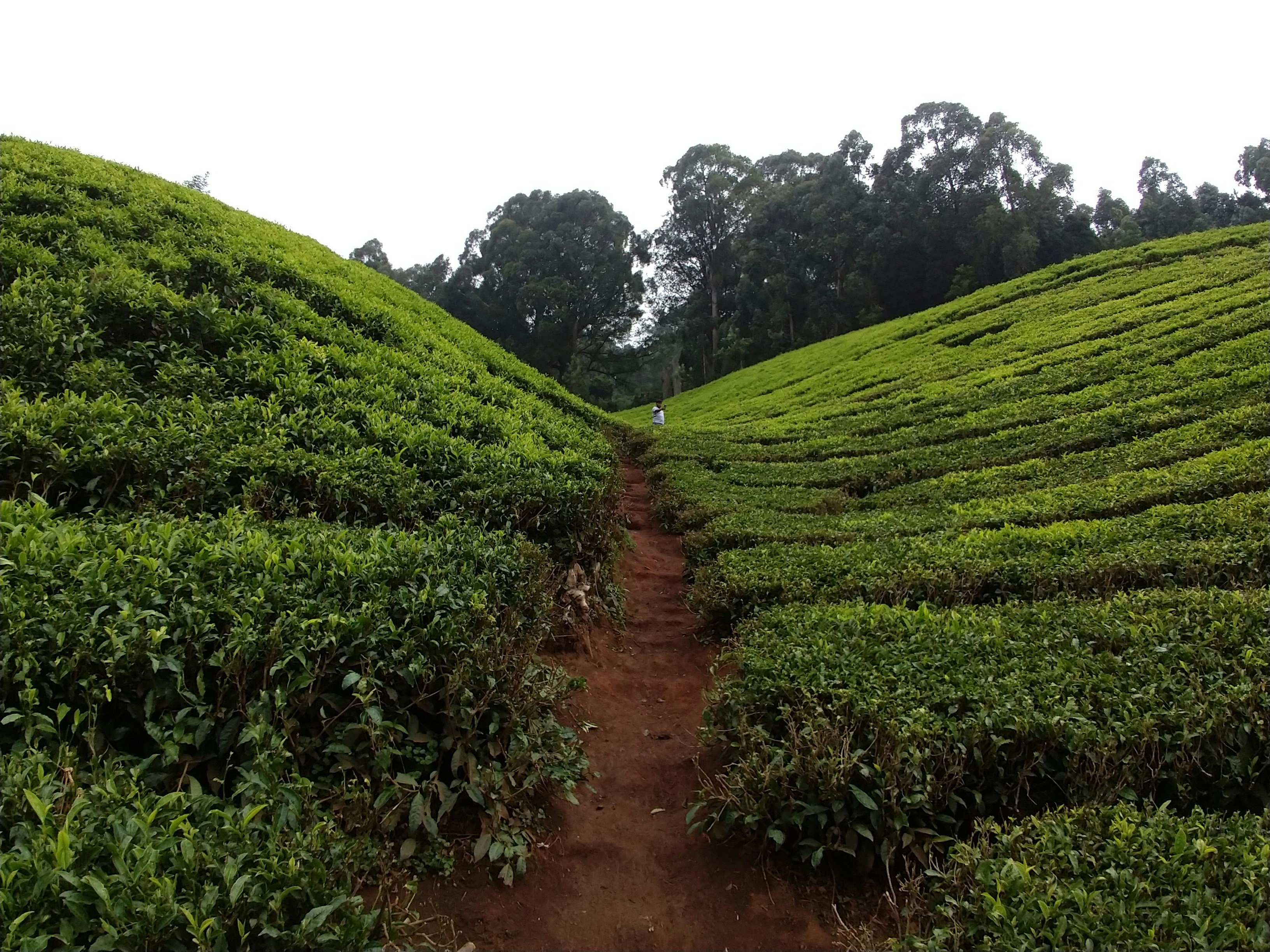 Photo by aditya_sethia_97