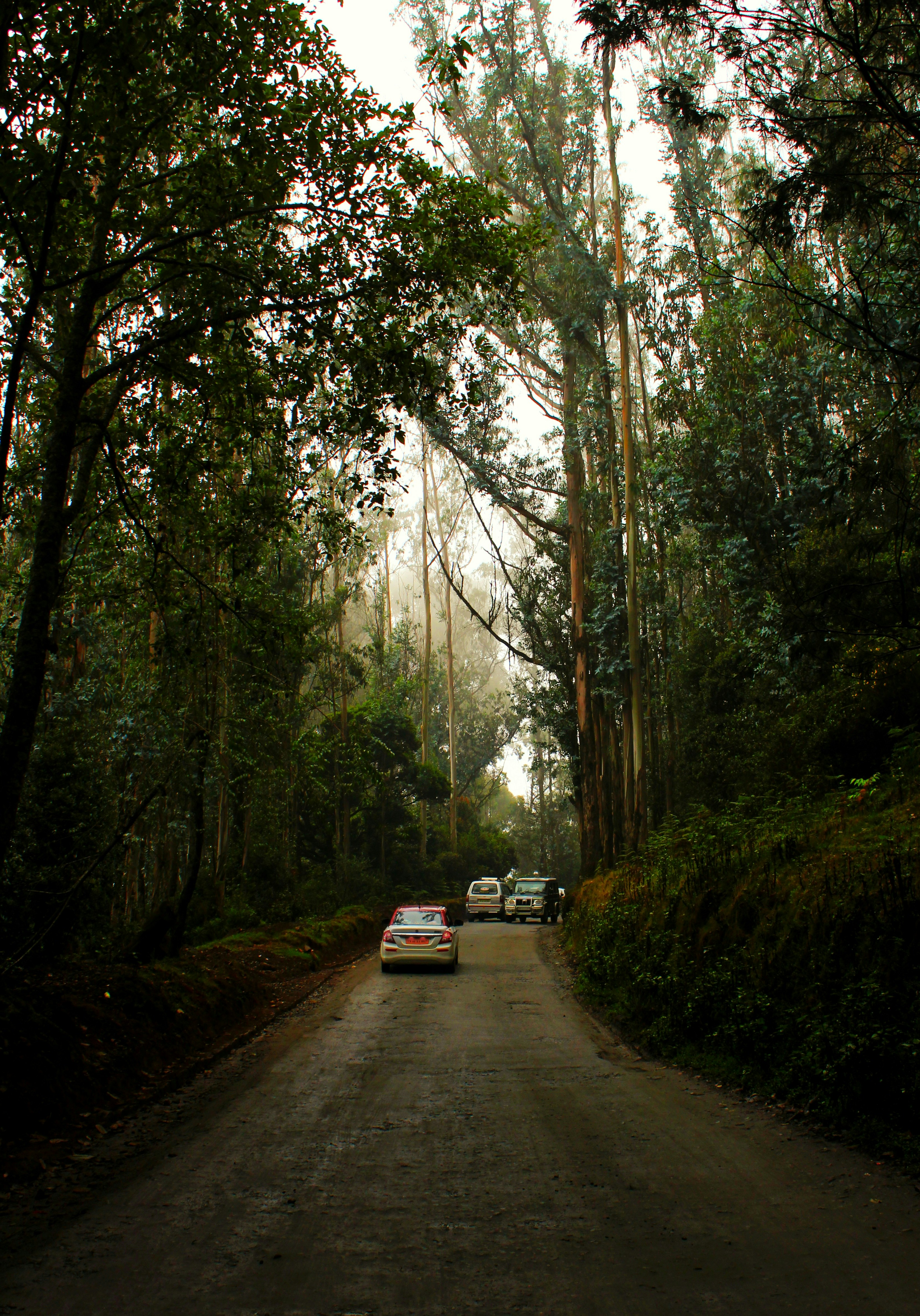 Photo by aditya_sethia_97