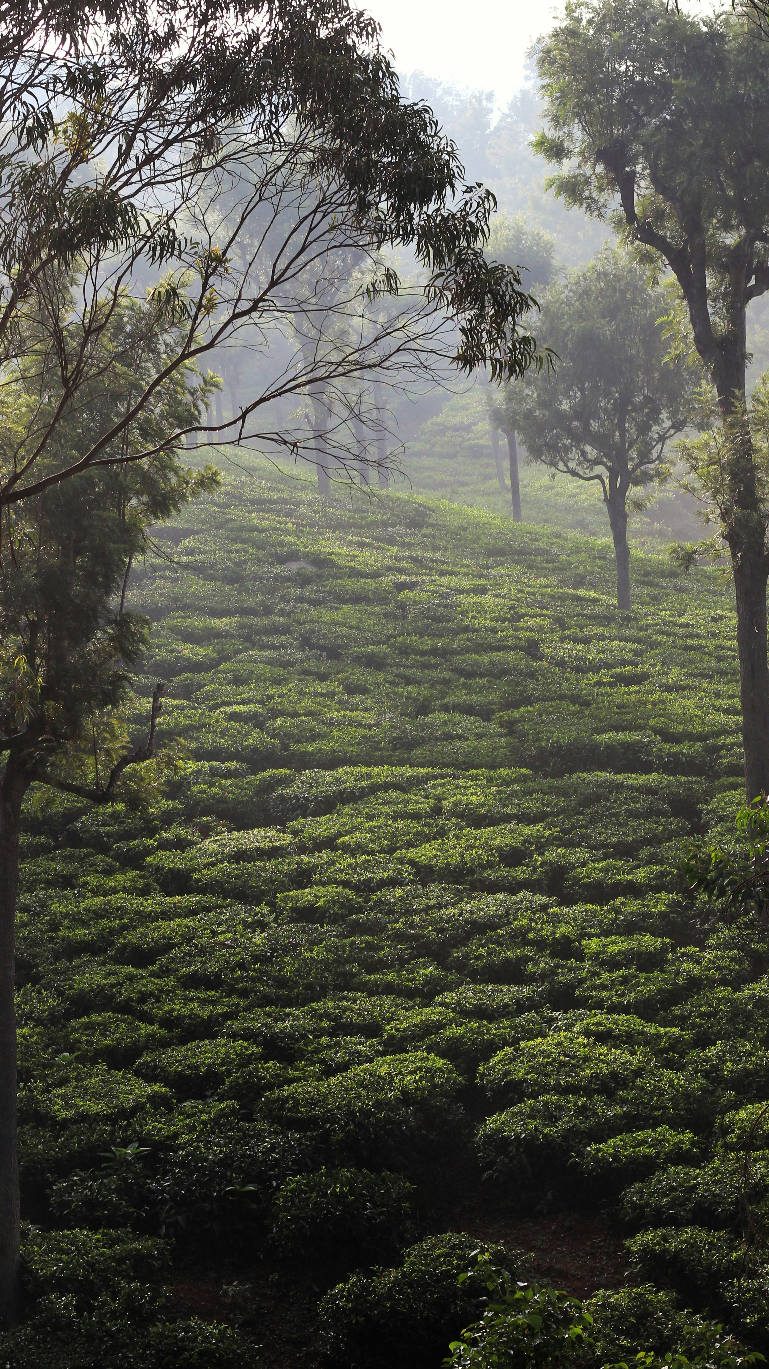 Photo by aditya_sethia_97