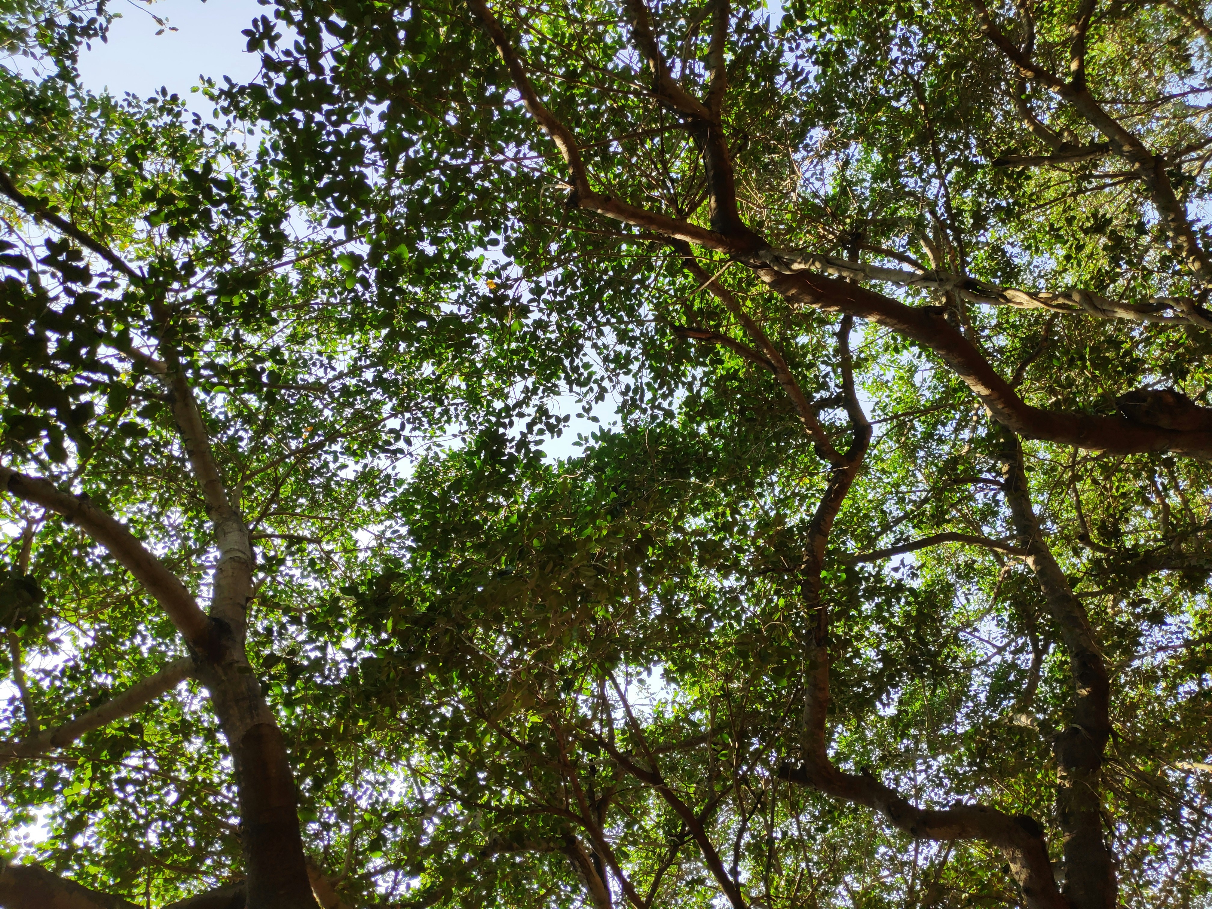 Photo by aditya_sethia_97