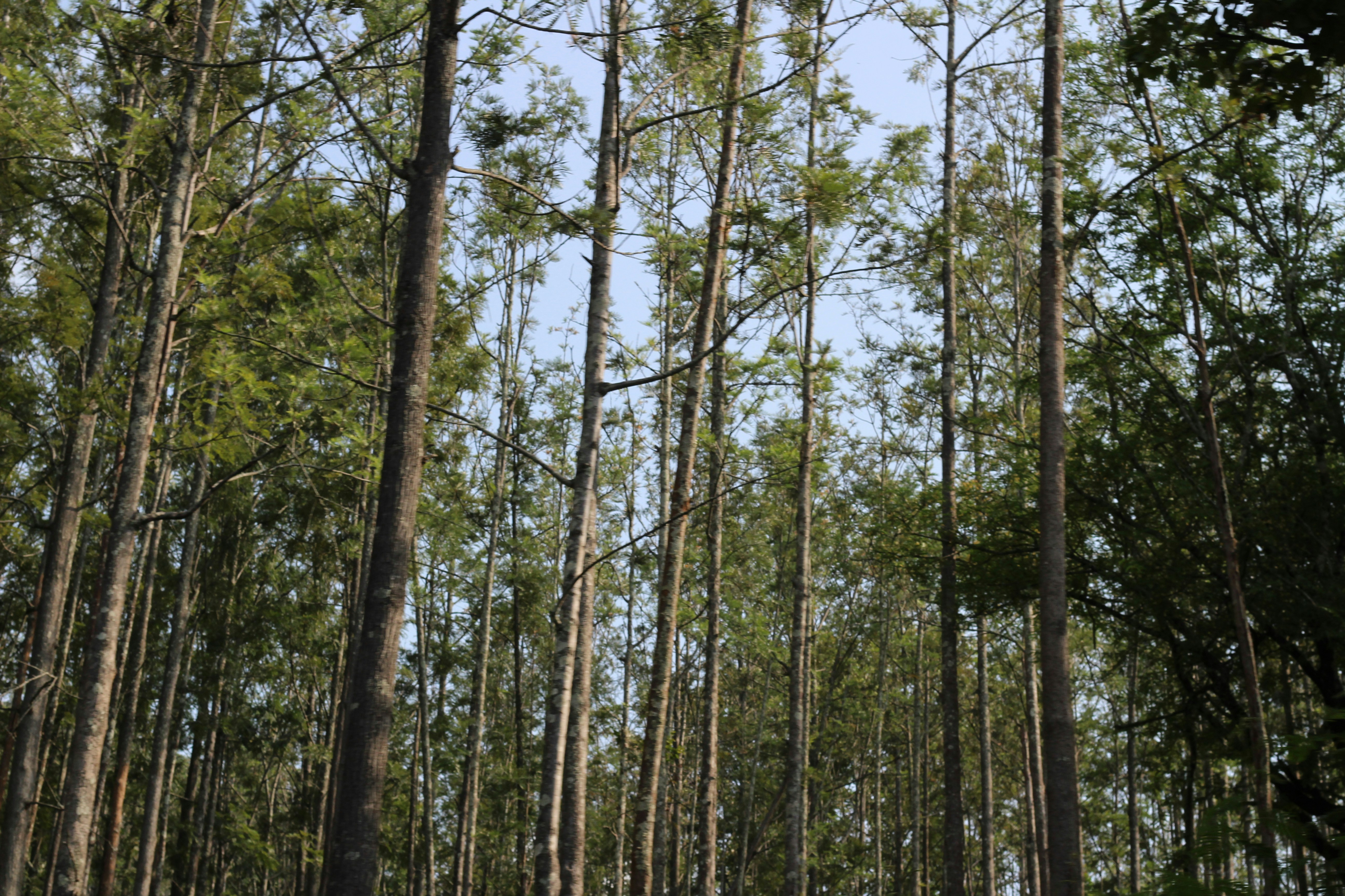 Photo by aditya_sethia_97