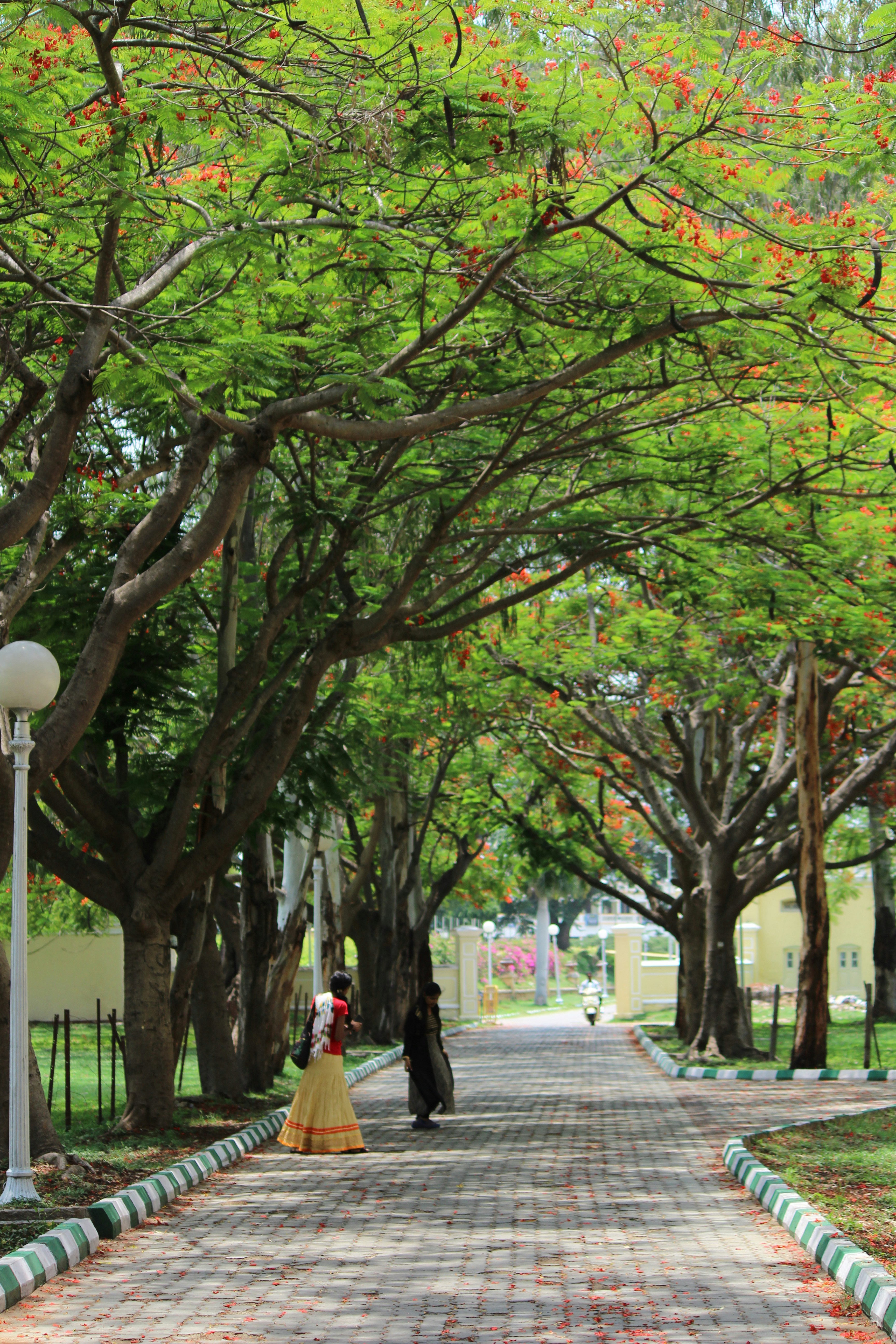 Photo by aditya_sethia_97