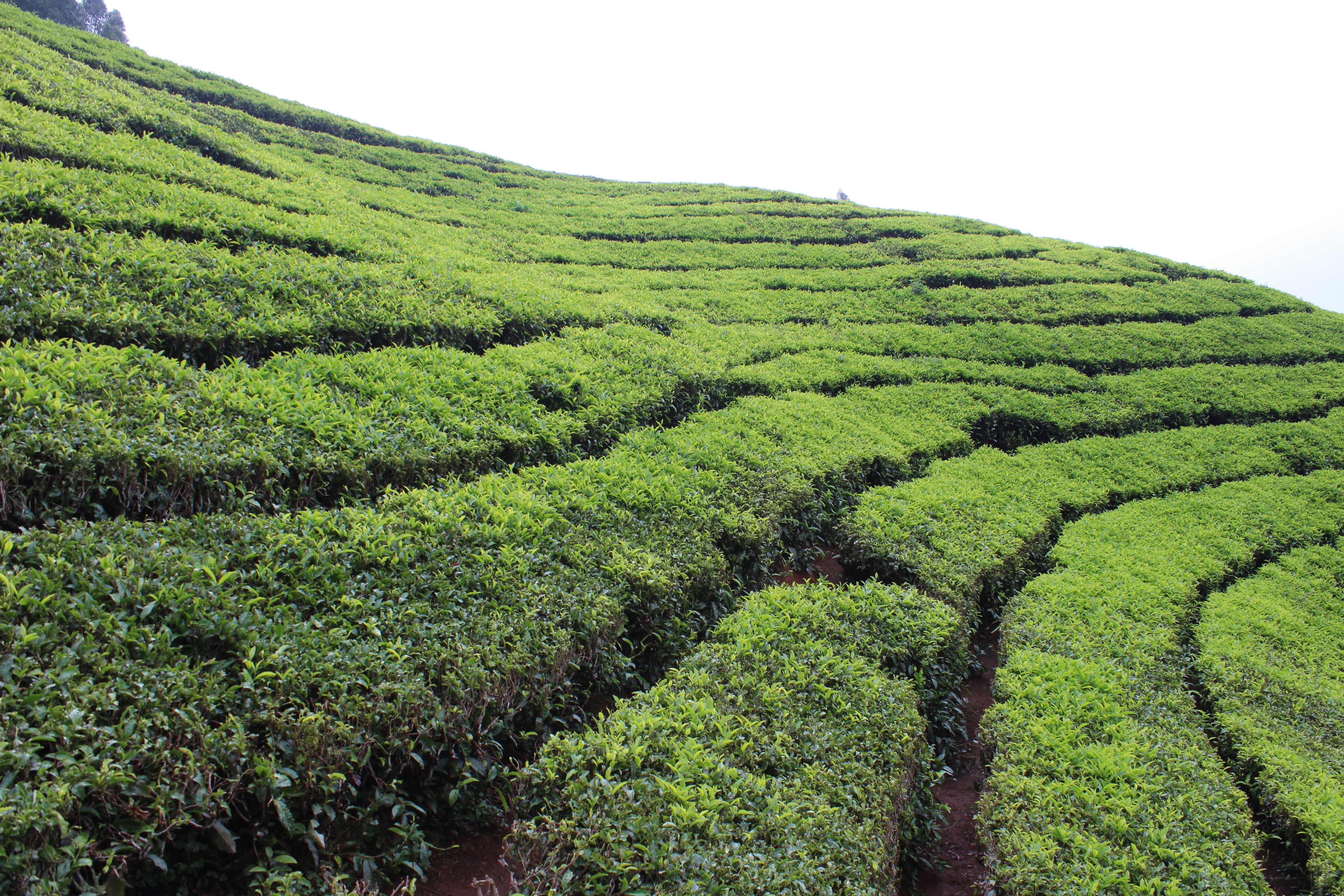 Photo by aditya_sethia_97