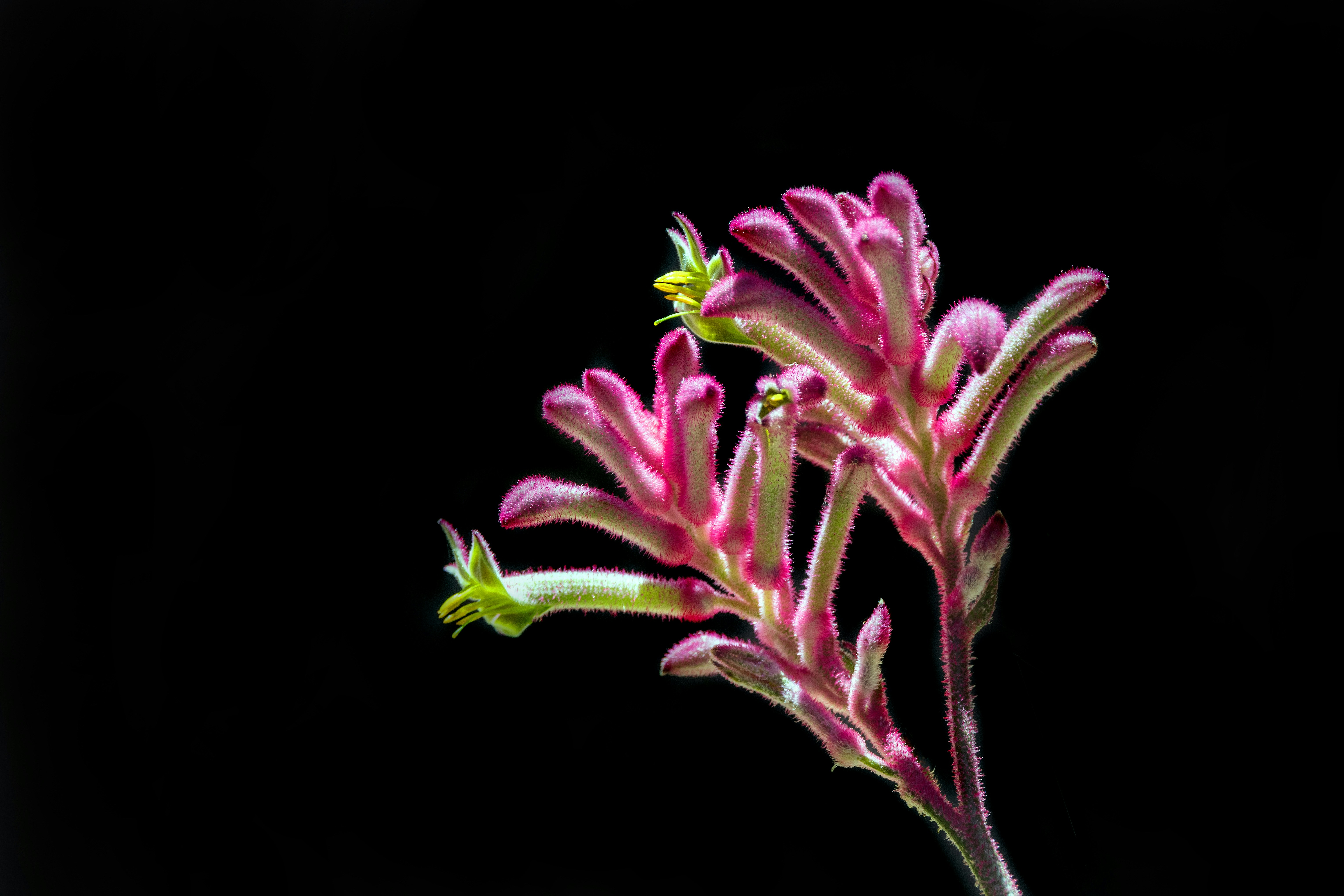 The list's cover image