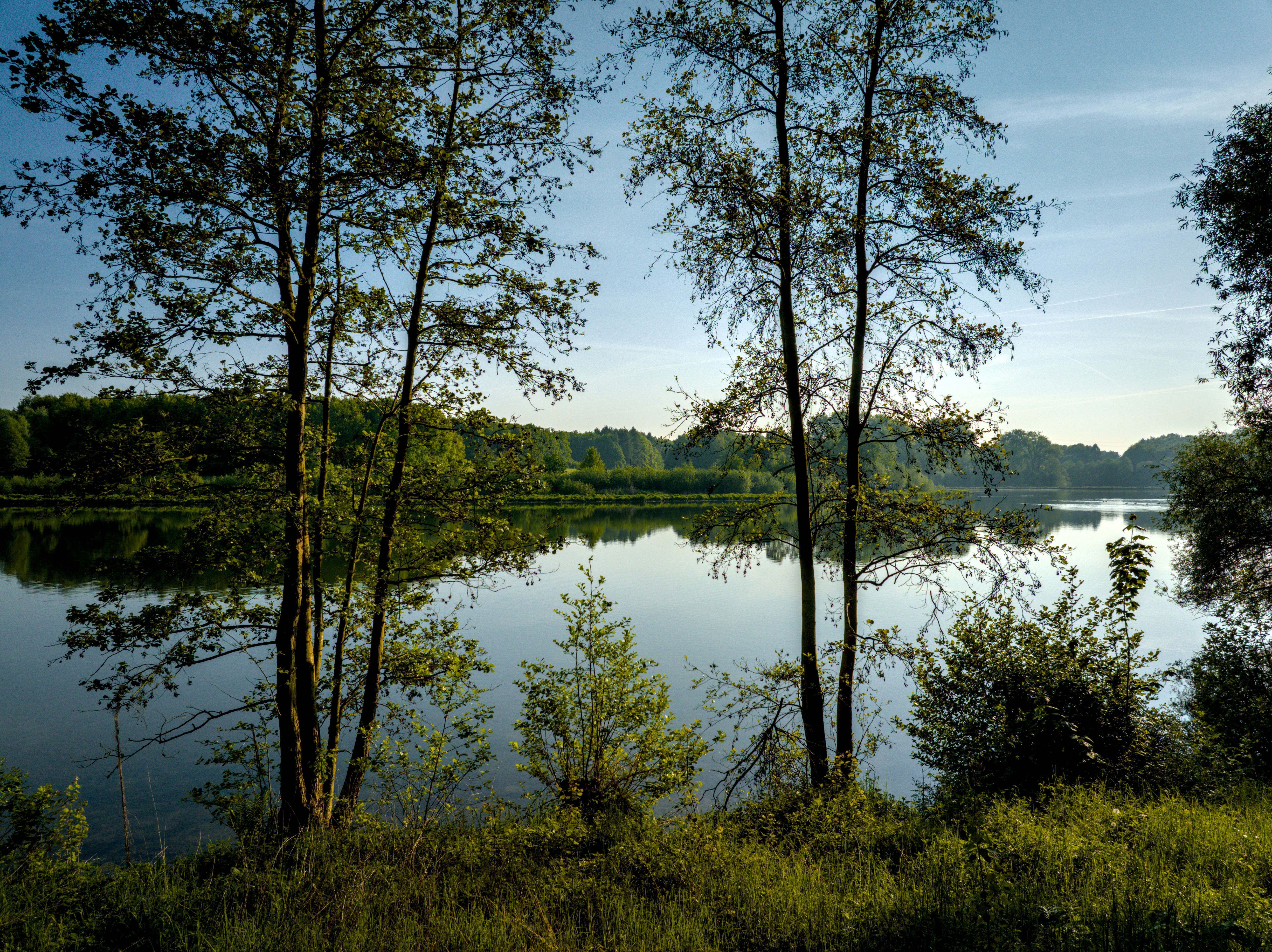 Safety audit, Safety audit services, Safety audit consulting, Safety audit consultant